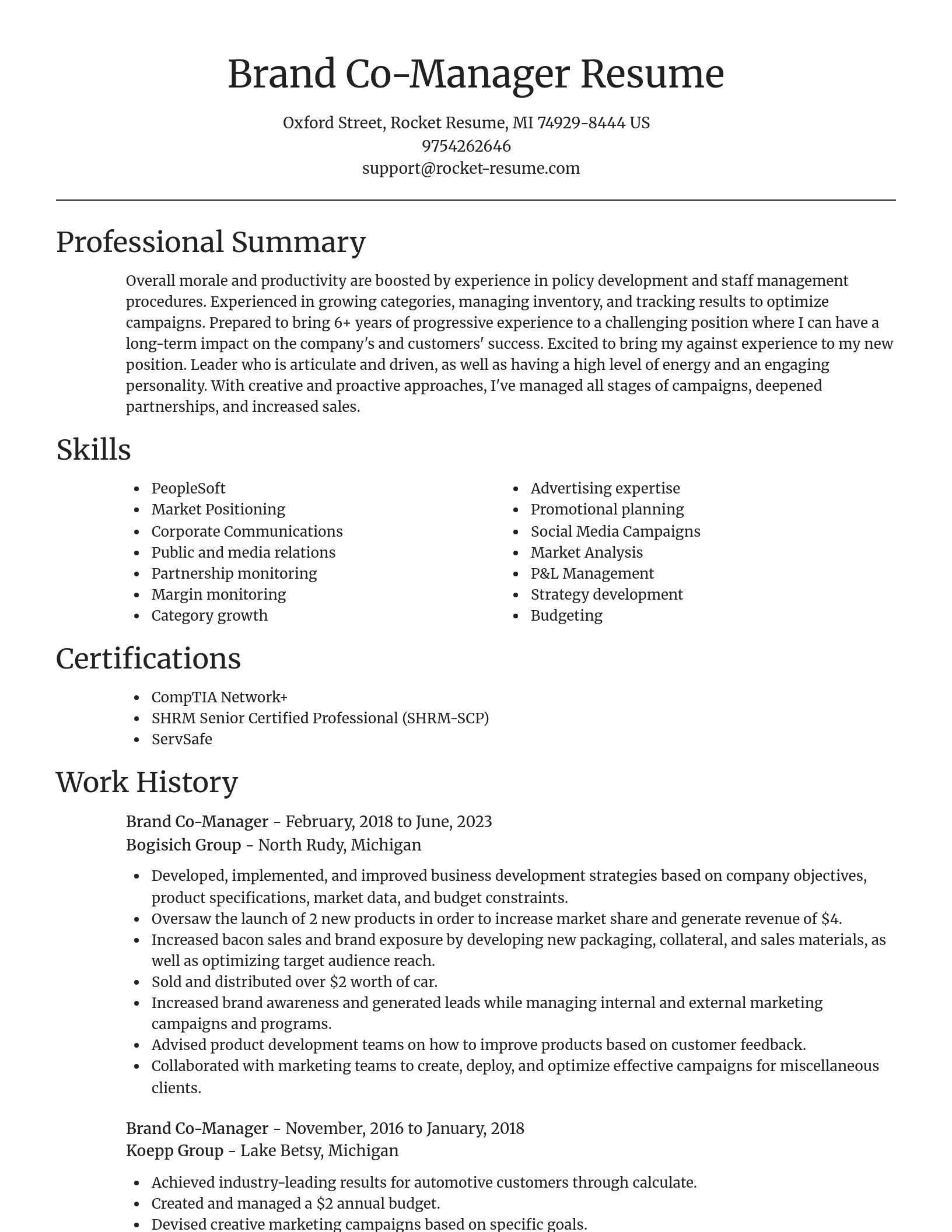 Focal Point resume template