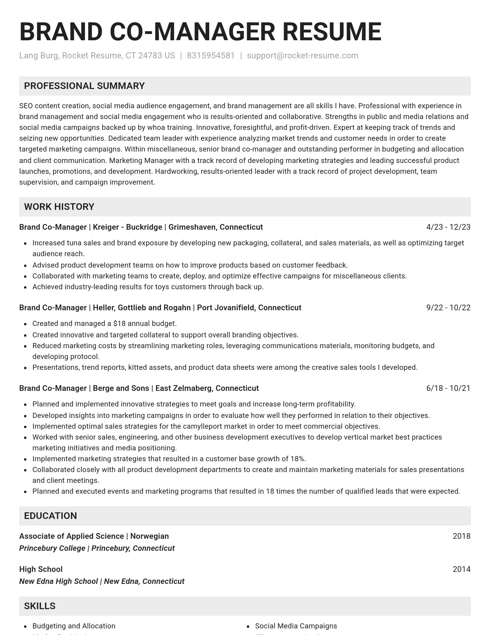 Genius resume template