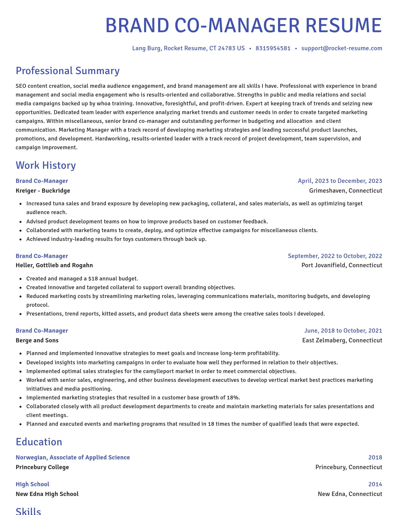 Novel resume template
