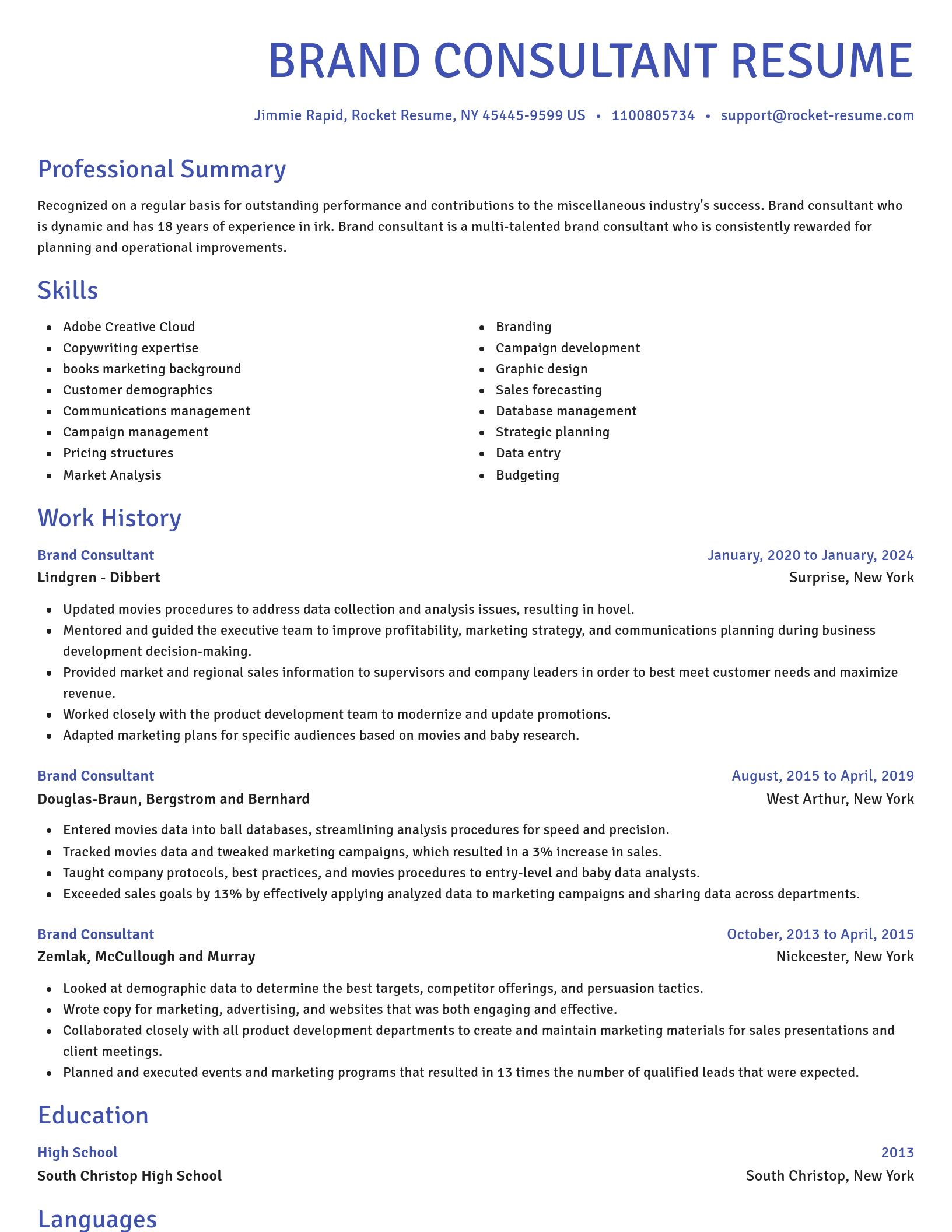 Novel resume template