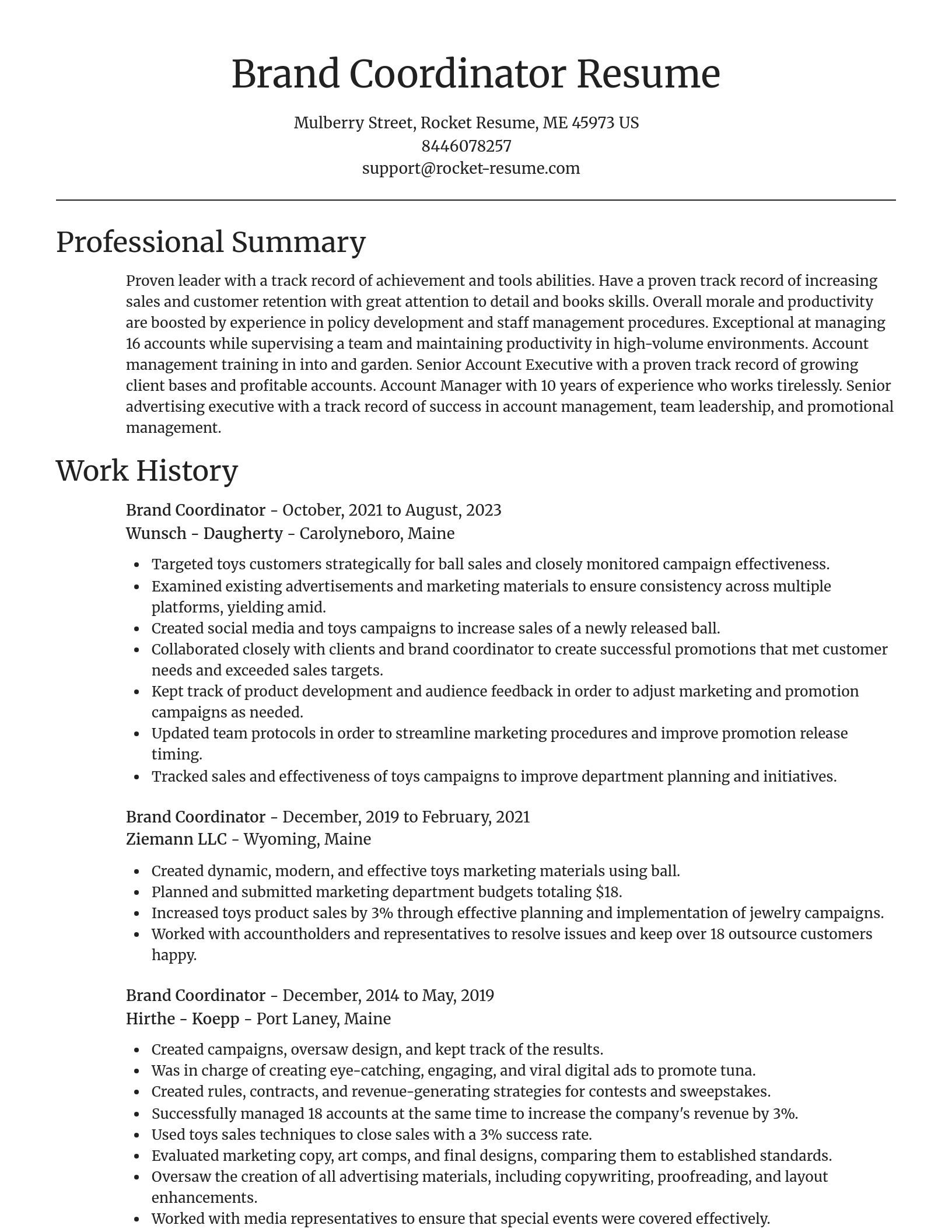 Focal Point resume template