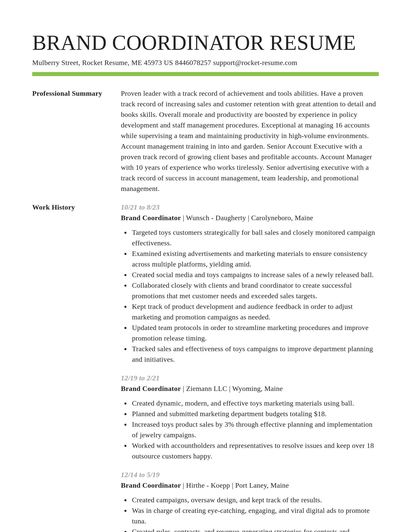 Smart resume template