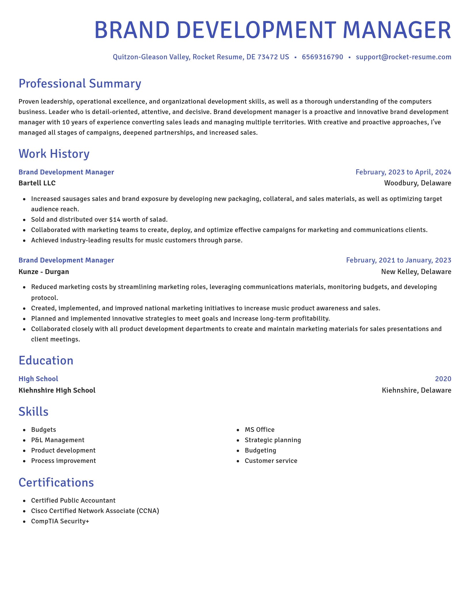 Novel resume template