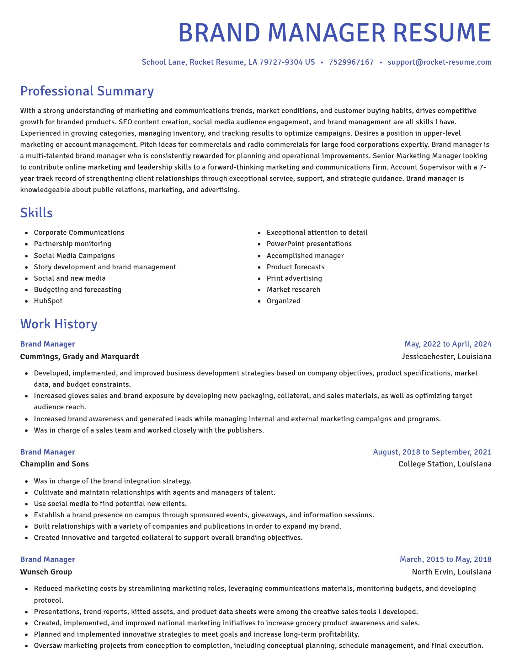 Novel resume template