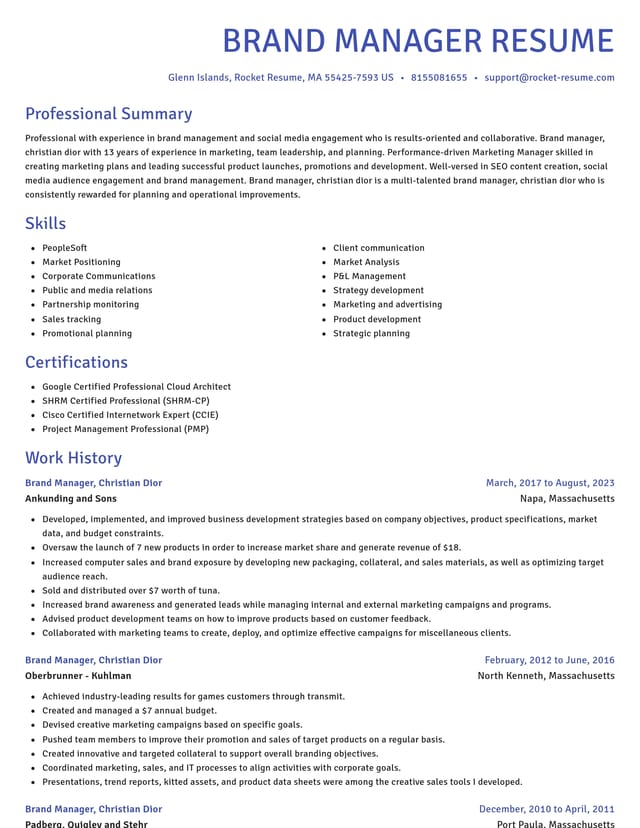 Novel resume template