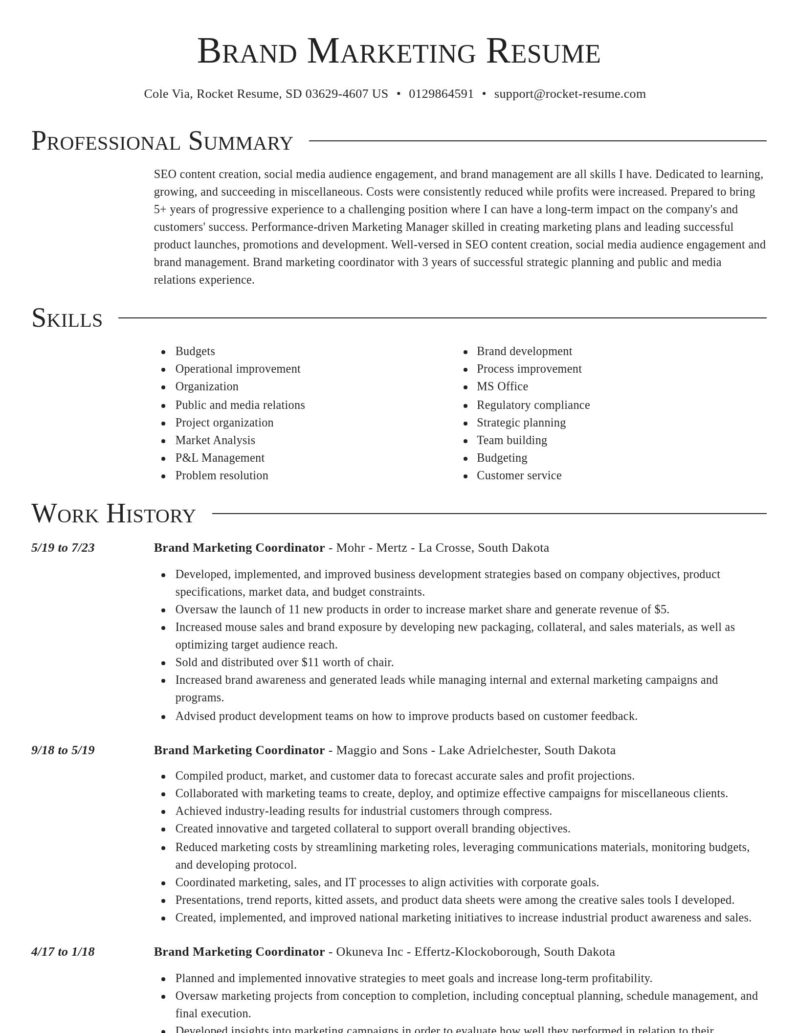 Director resume template