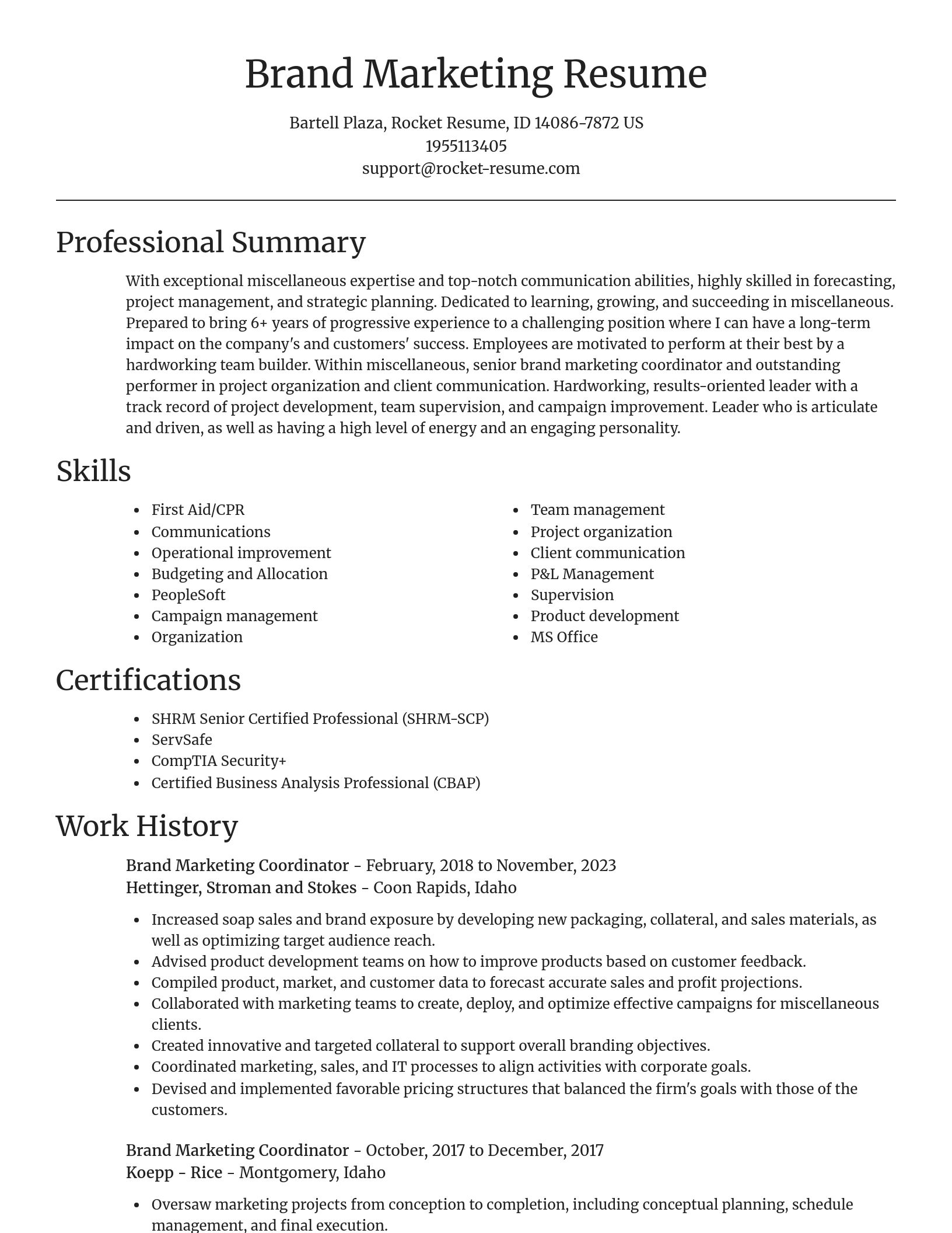 Focal Point resume template