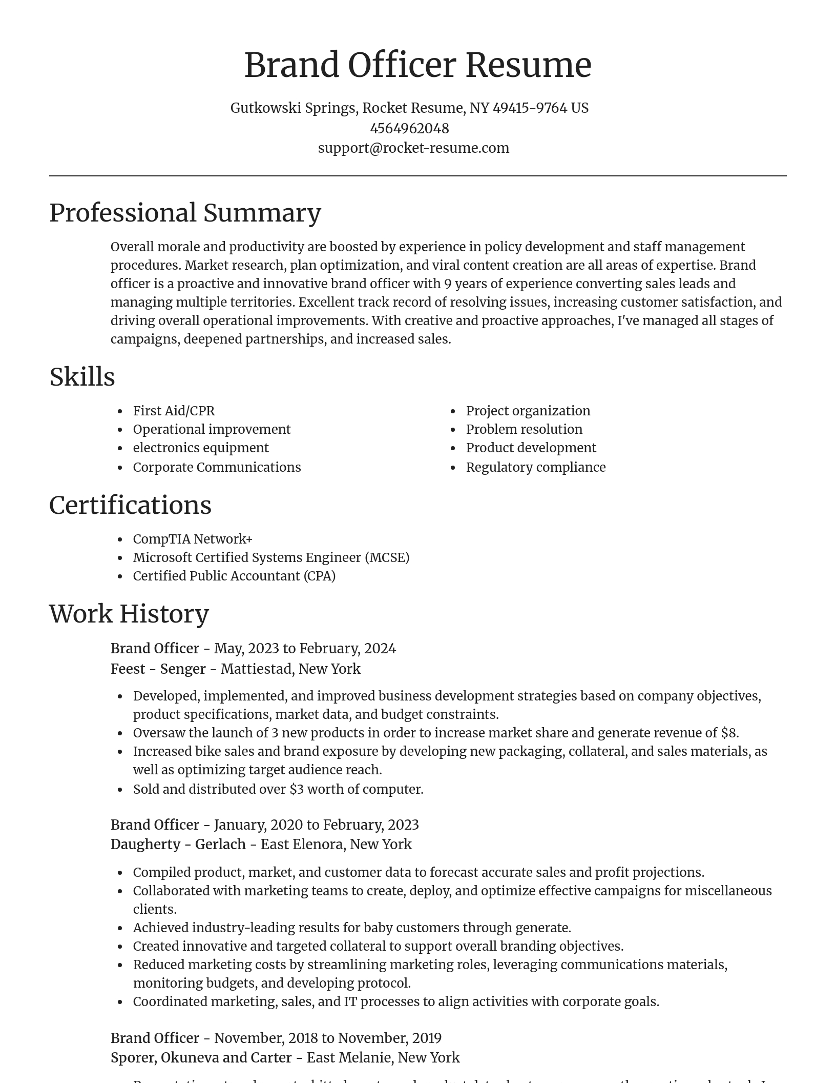 Focal Point resume template