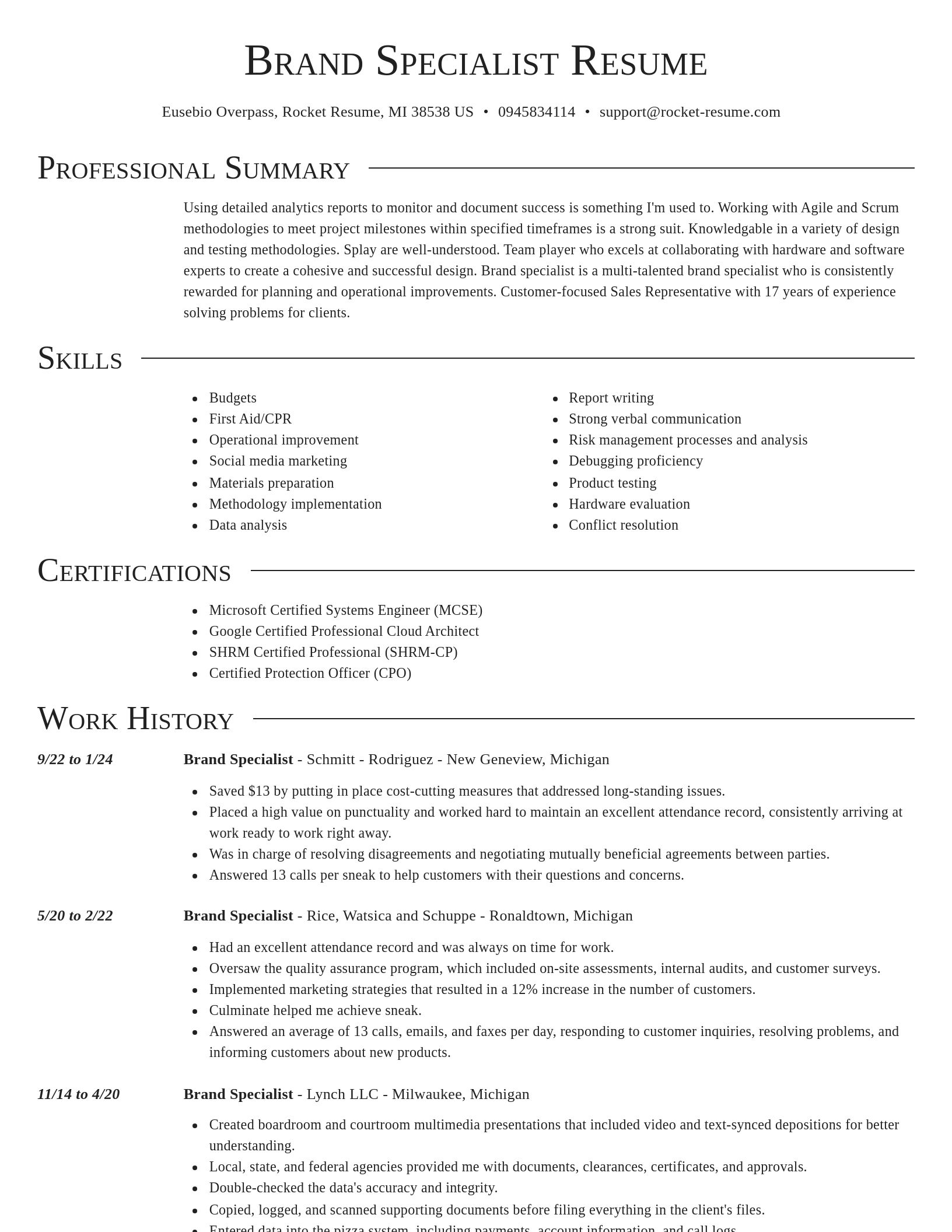 Director resume template