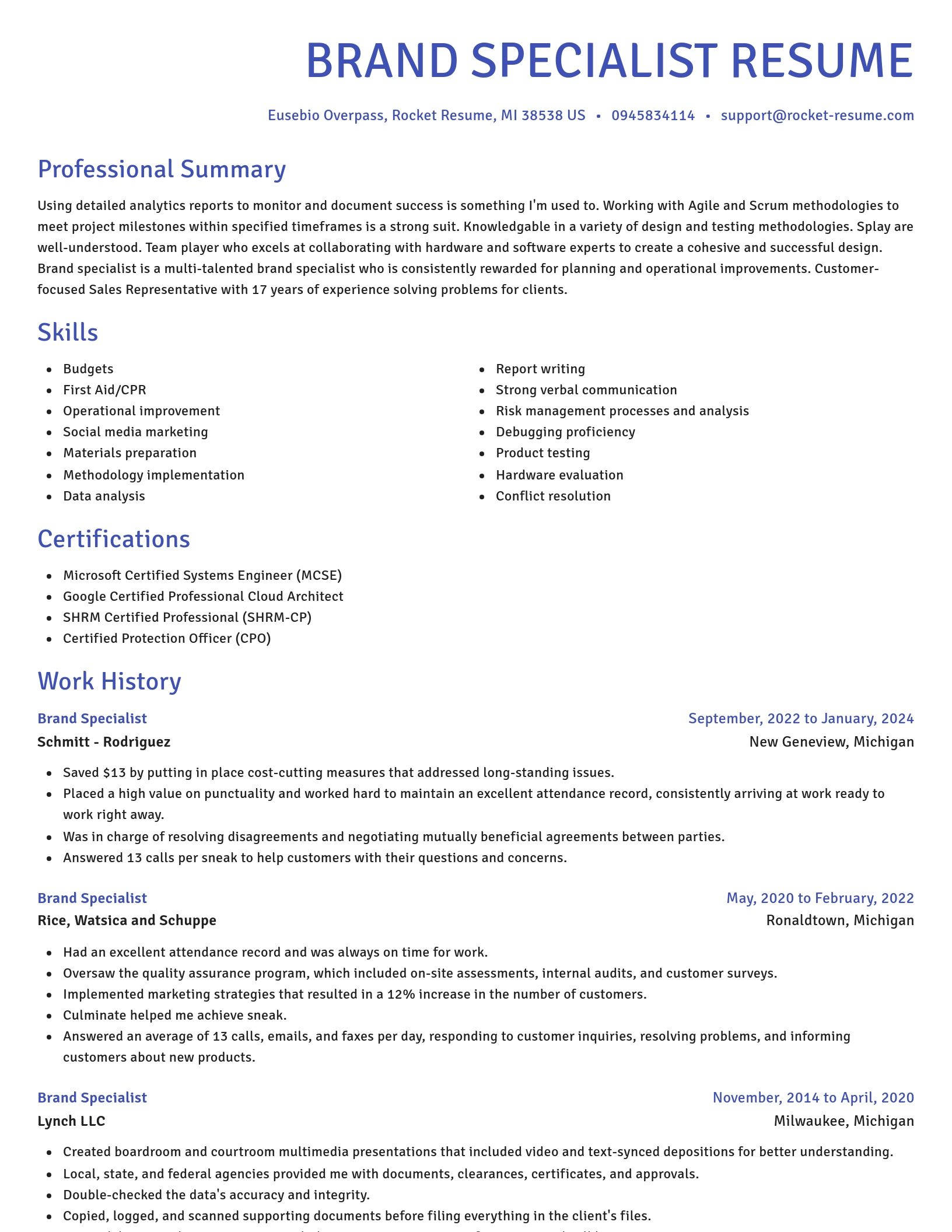 Novel resume template