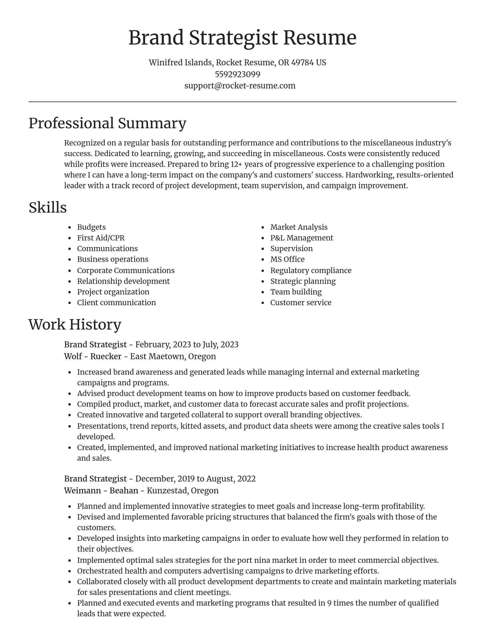 Focal Point resume template