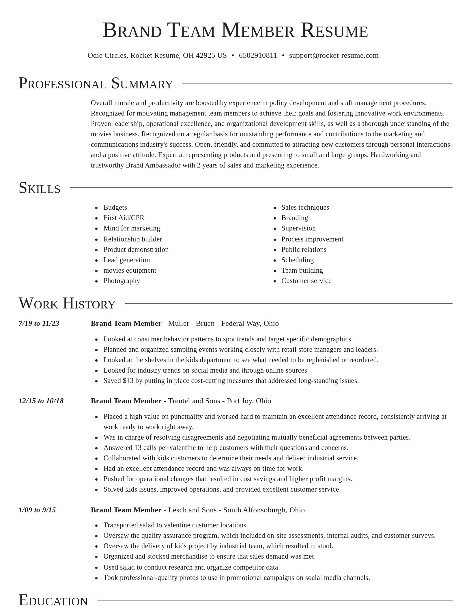 Director resume template