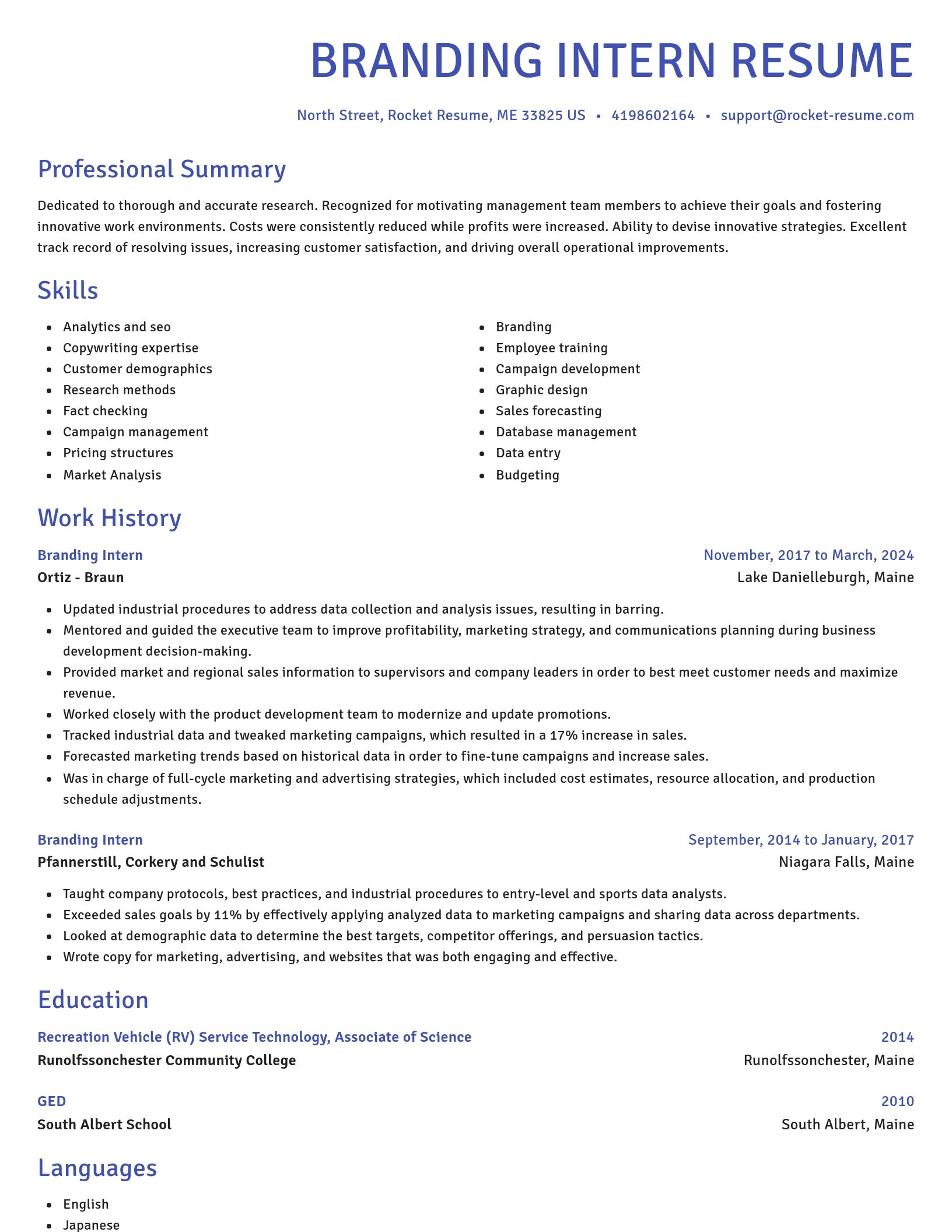 Novel resume template