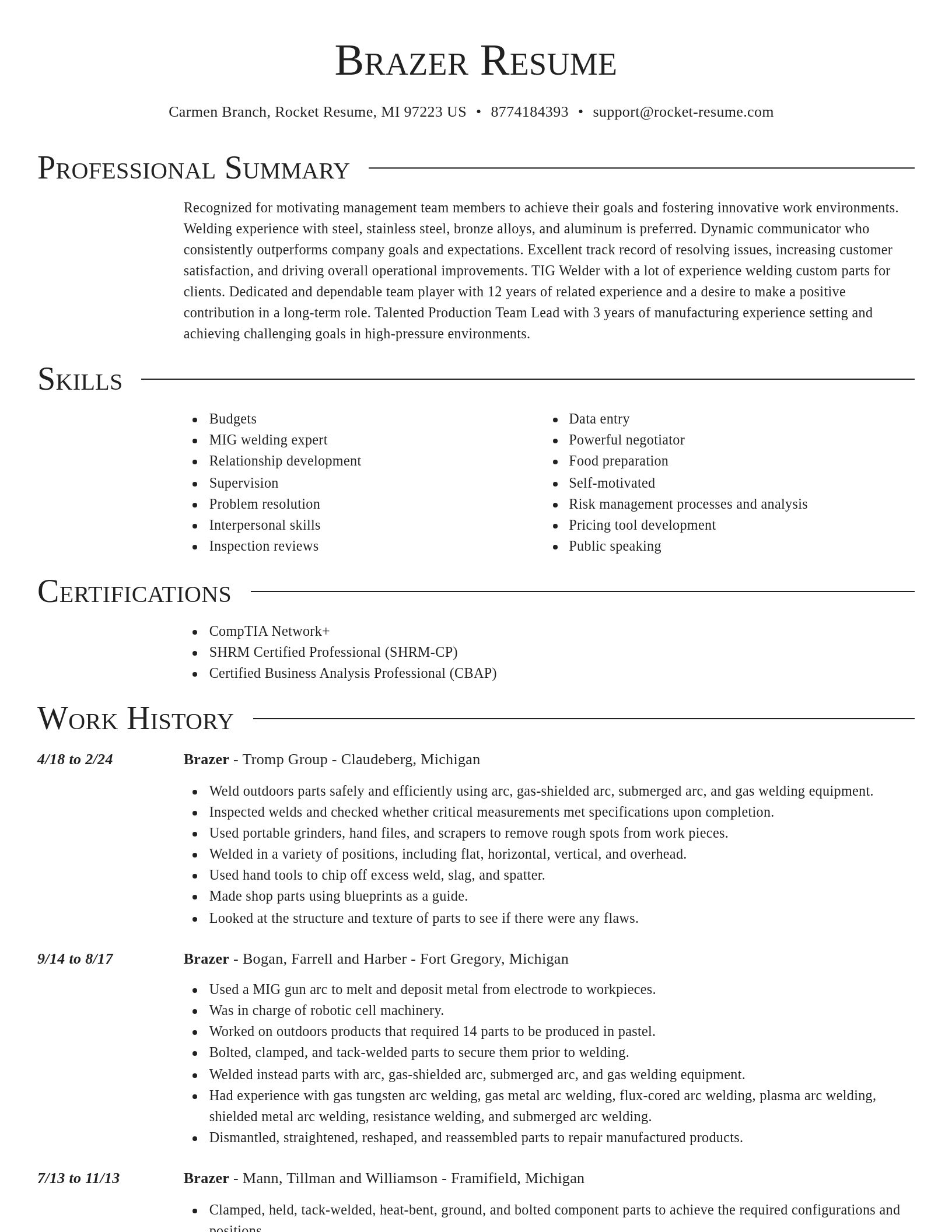 Director resume template