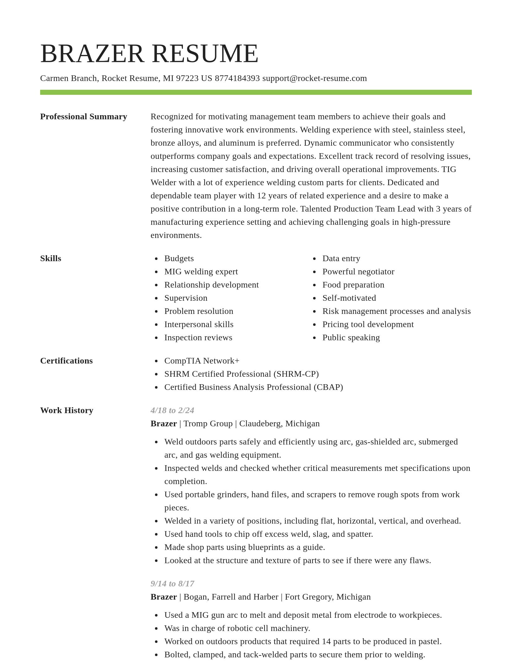 Smart resume template