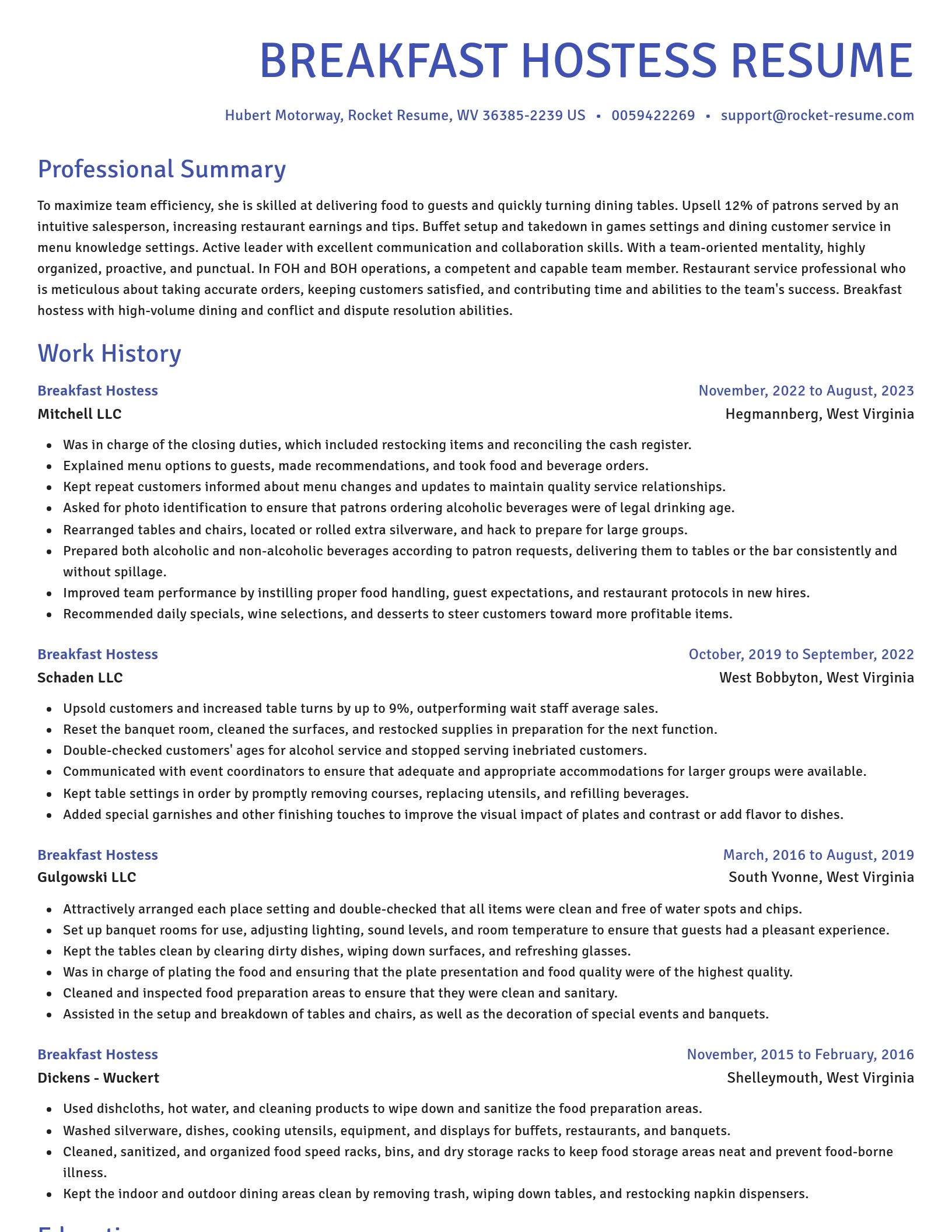 Novel resume template