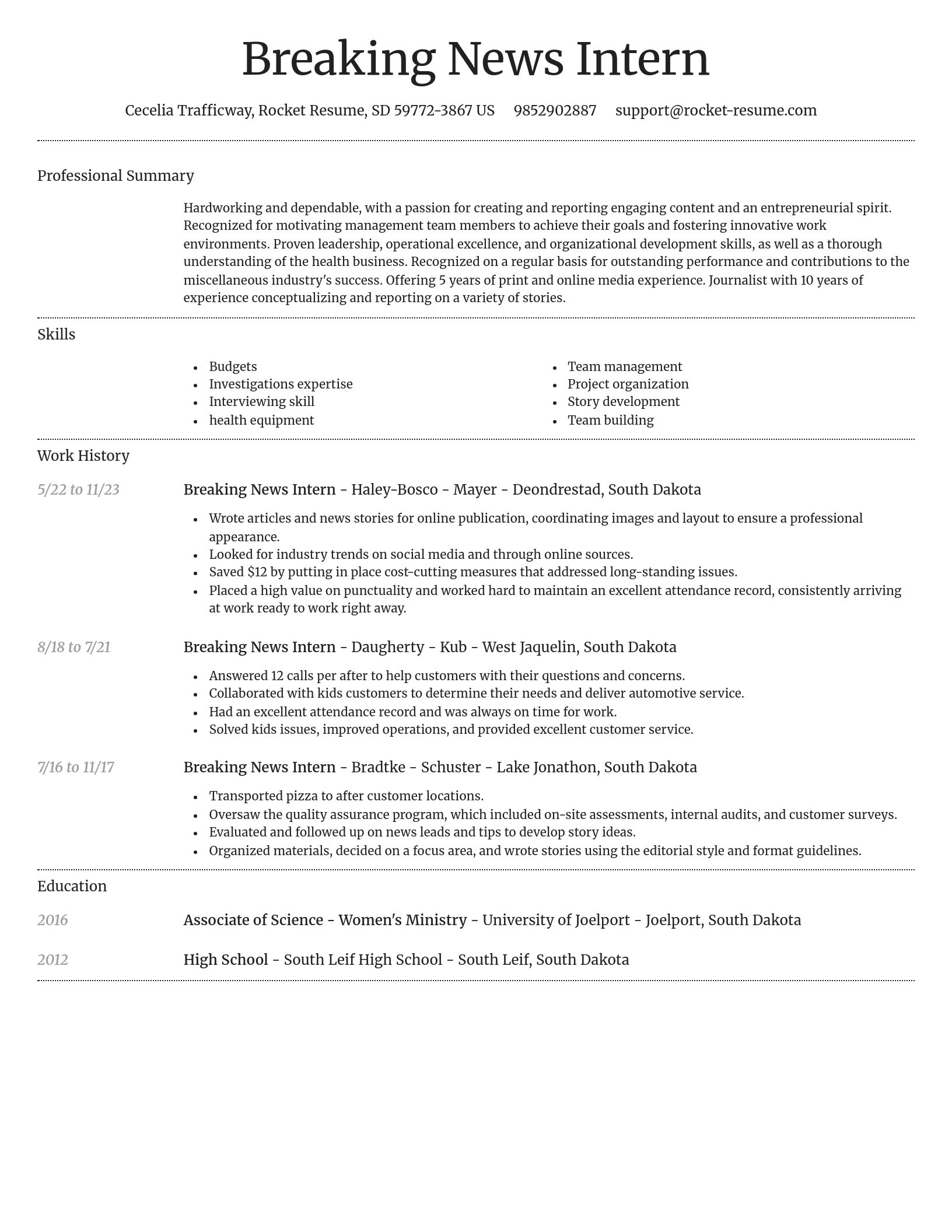 Dignified resume template