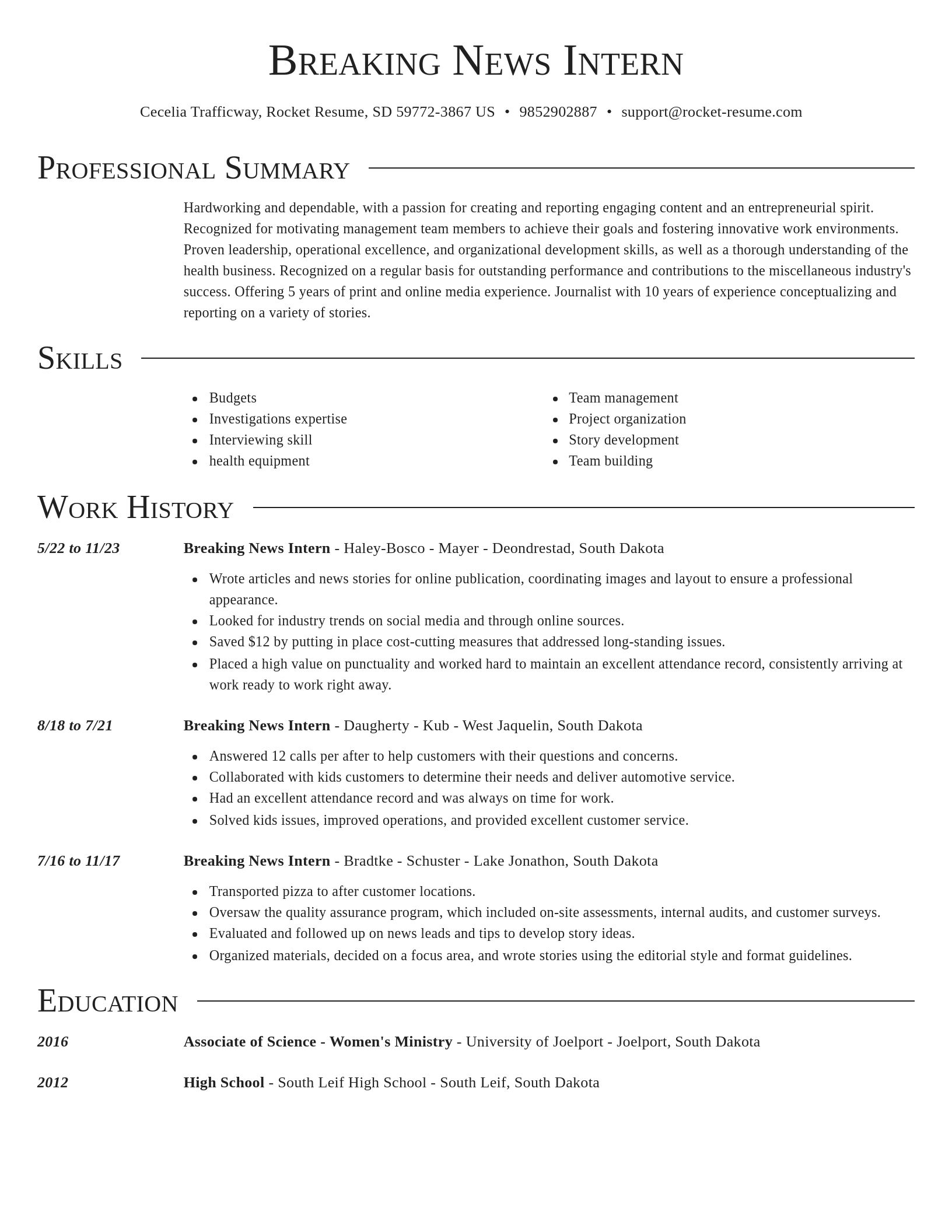 Director resume template