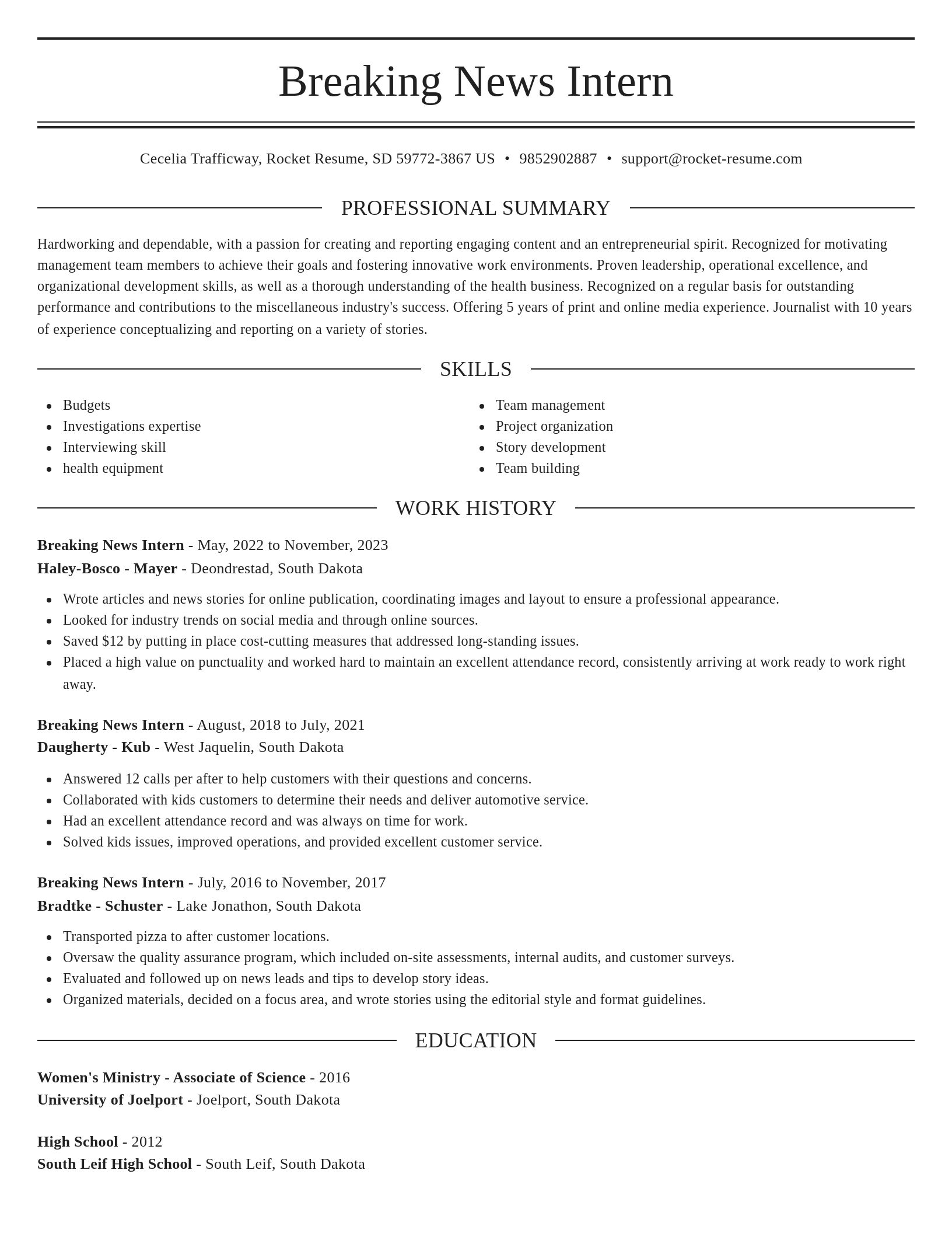 Elegant resume template