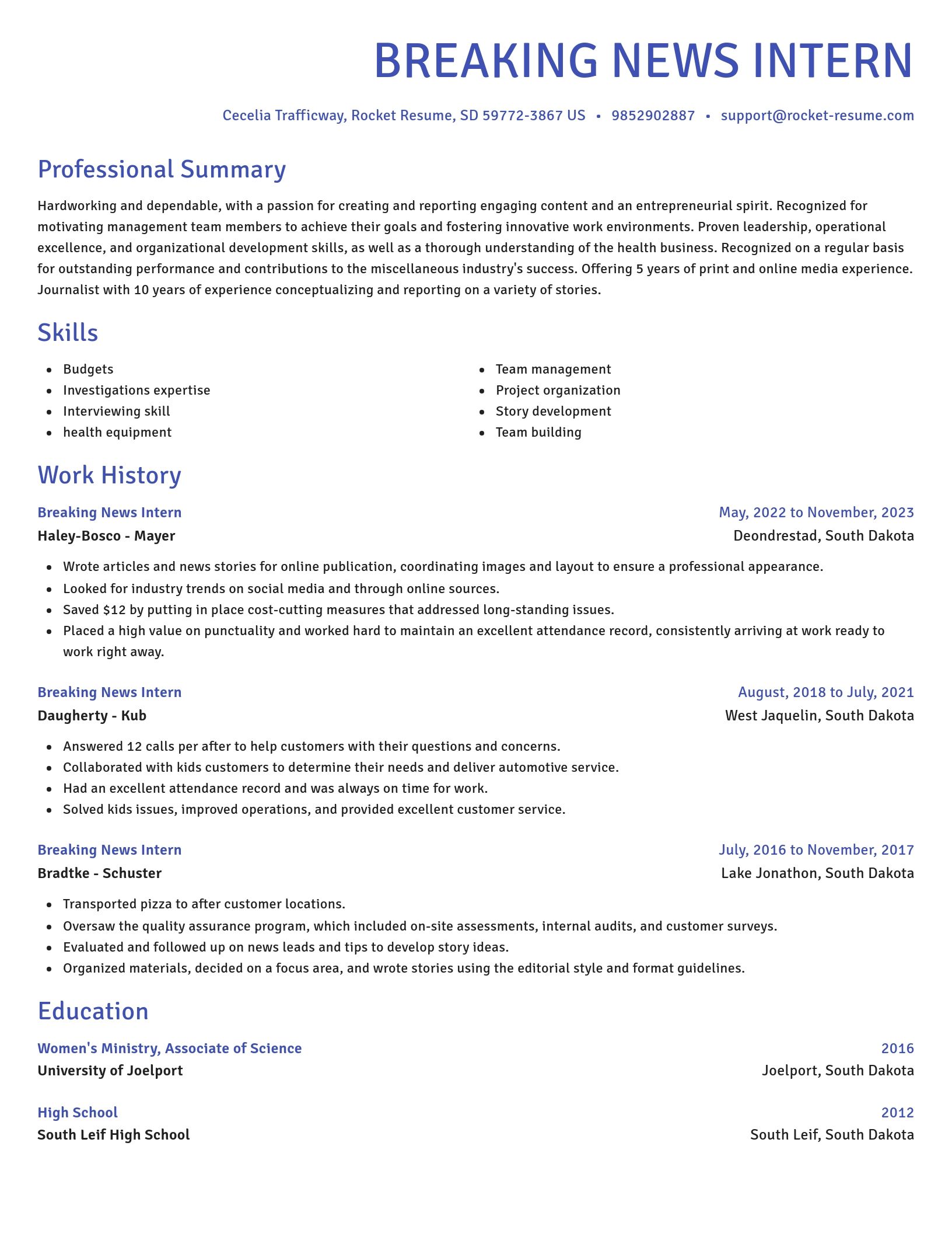 Novel resume template