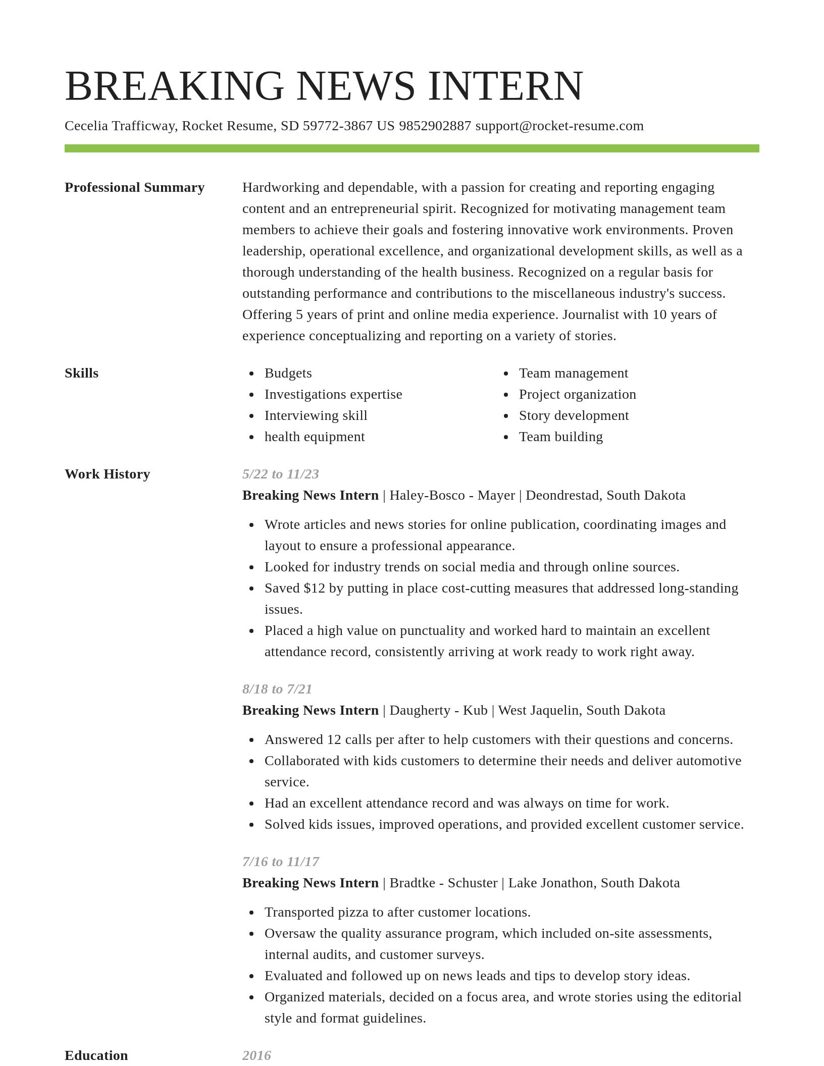 Smart resume template