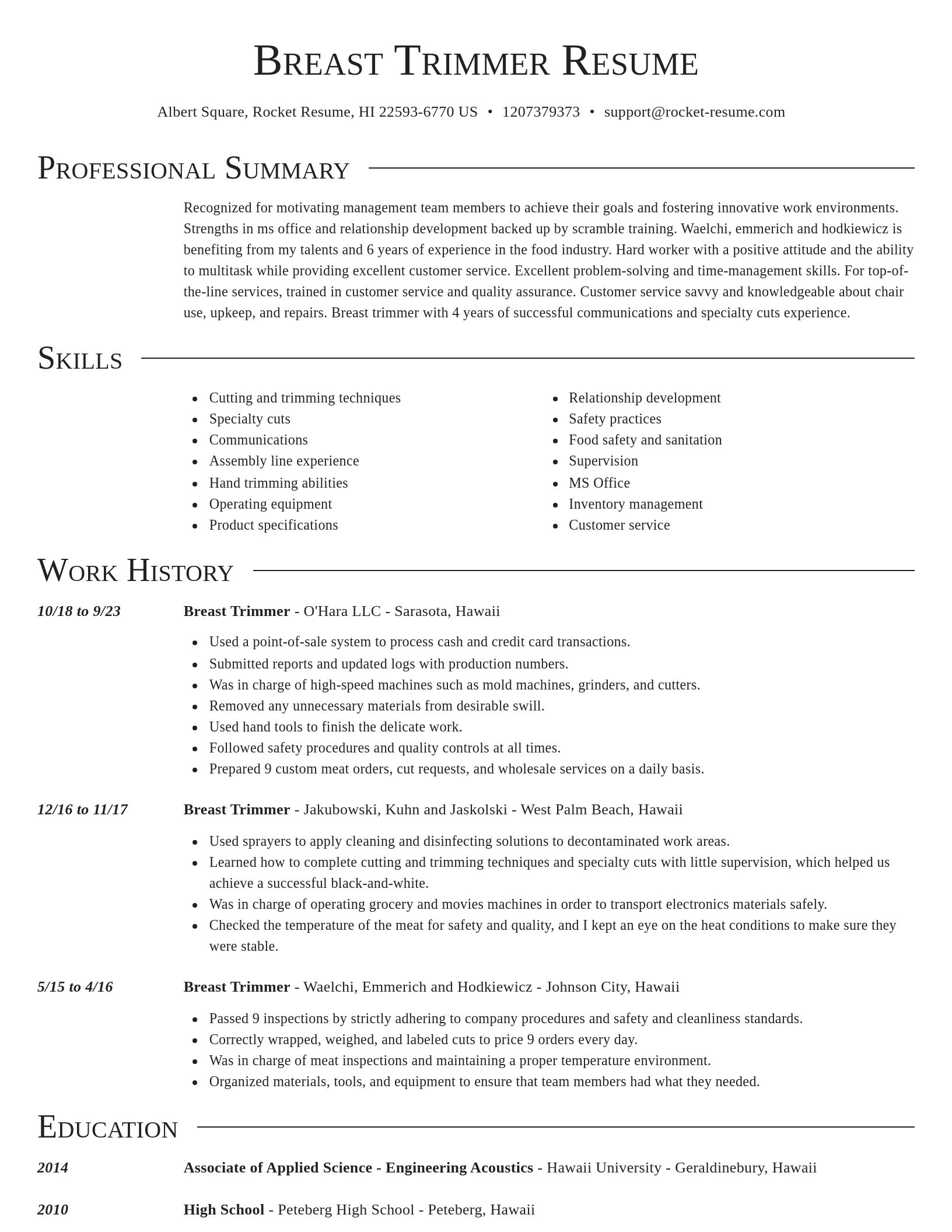 Director resume template