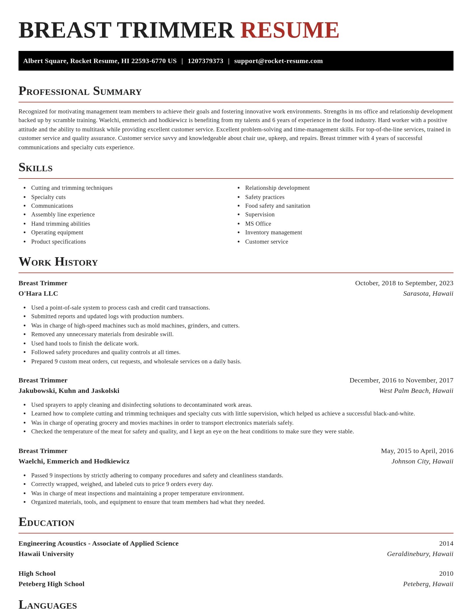 Exquisite resume template