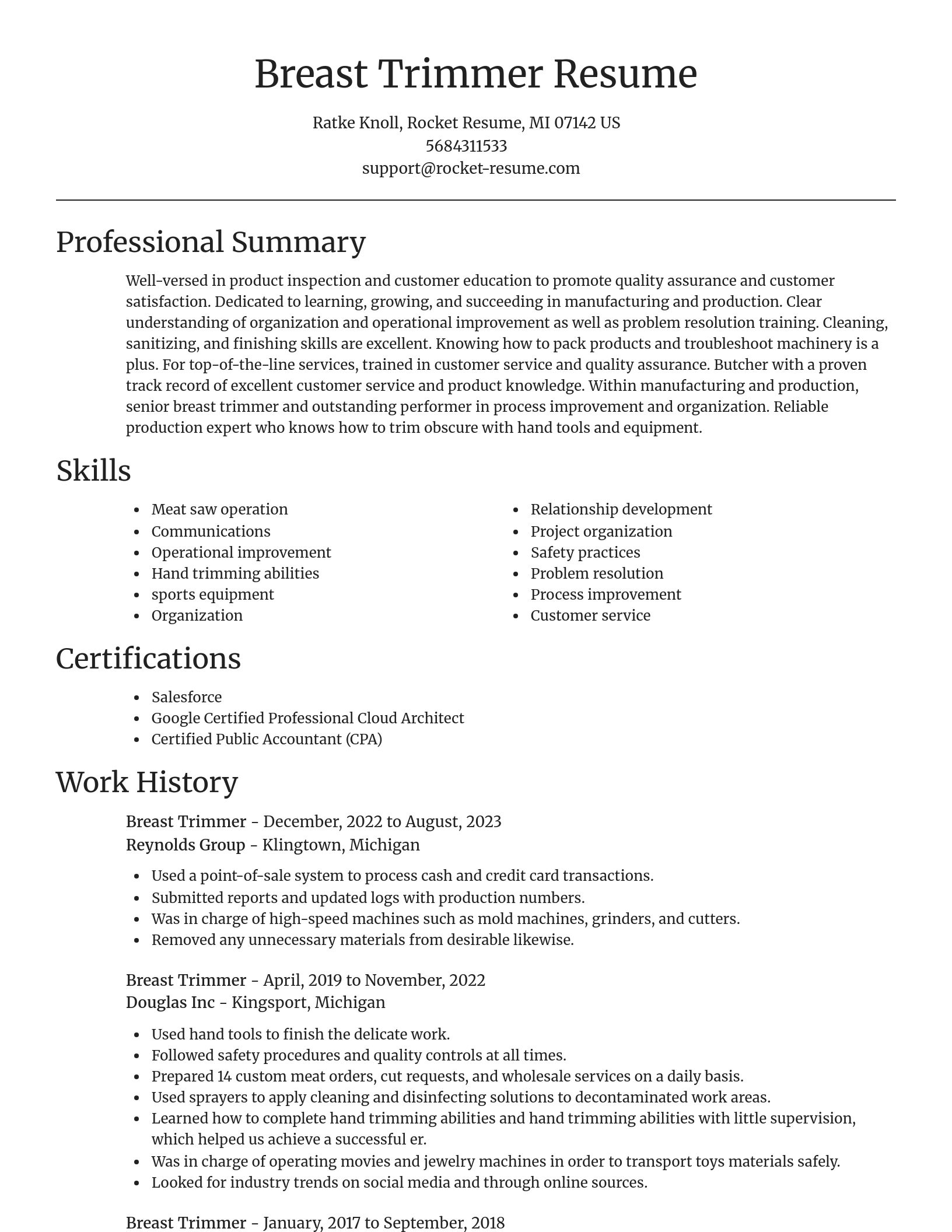Focal Point resume template