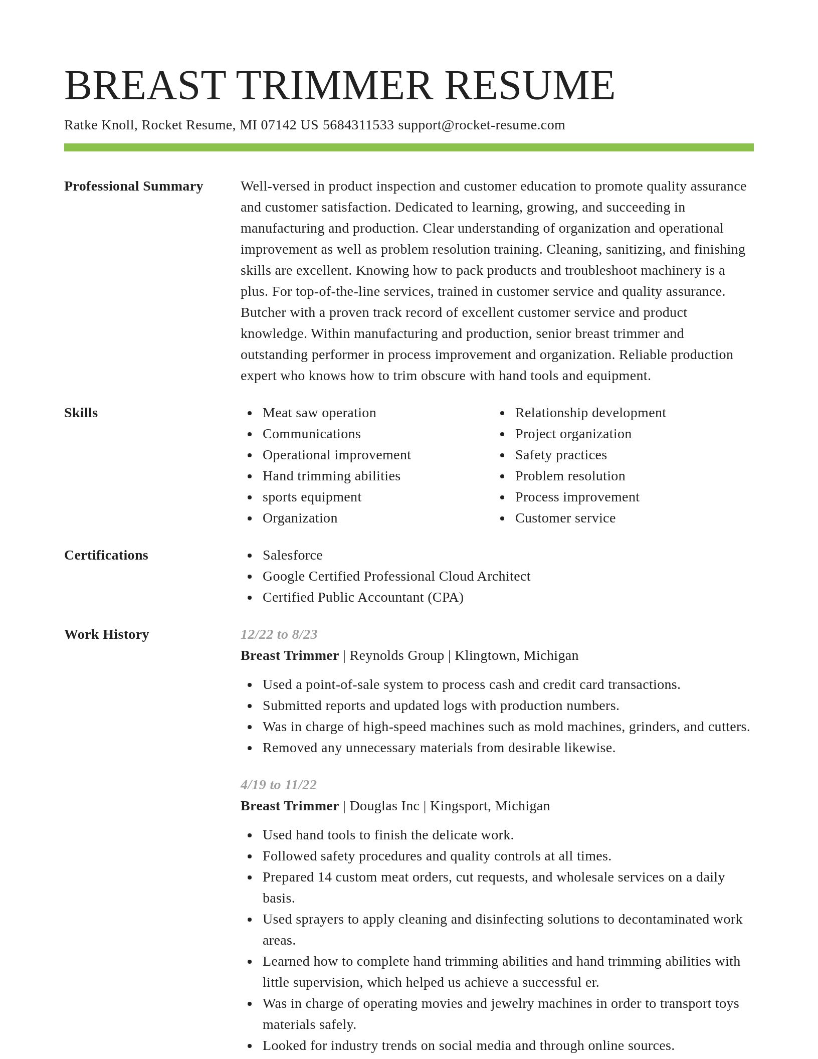 Smart resume template