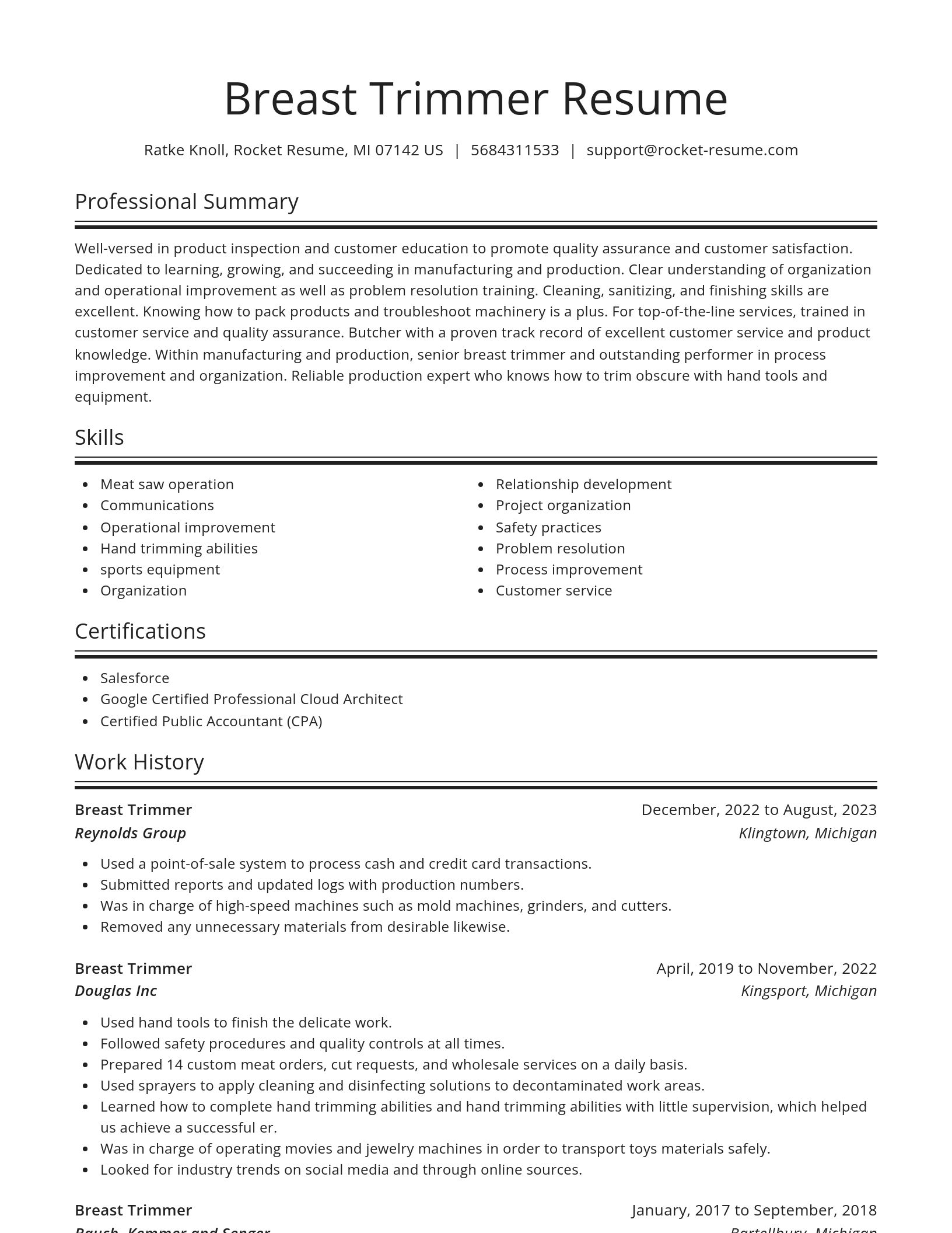 Spotlight resume template