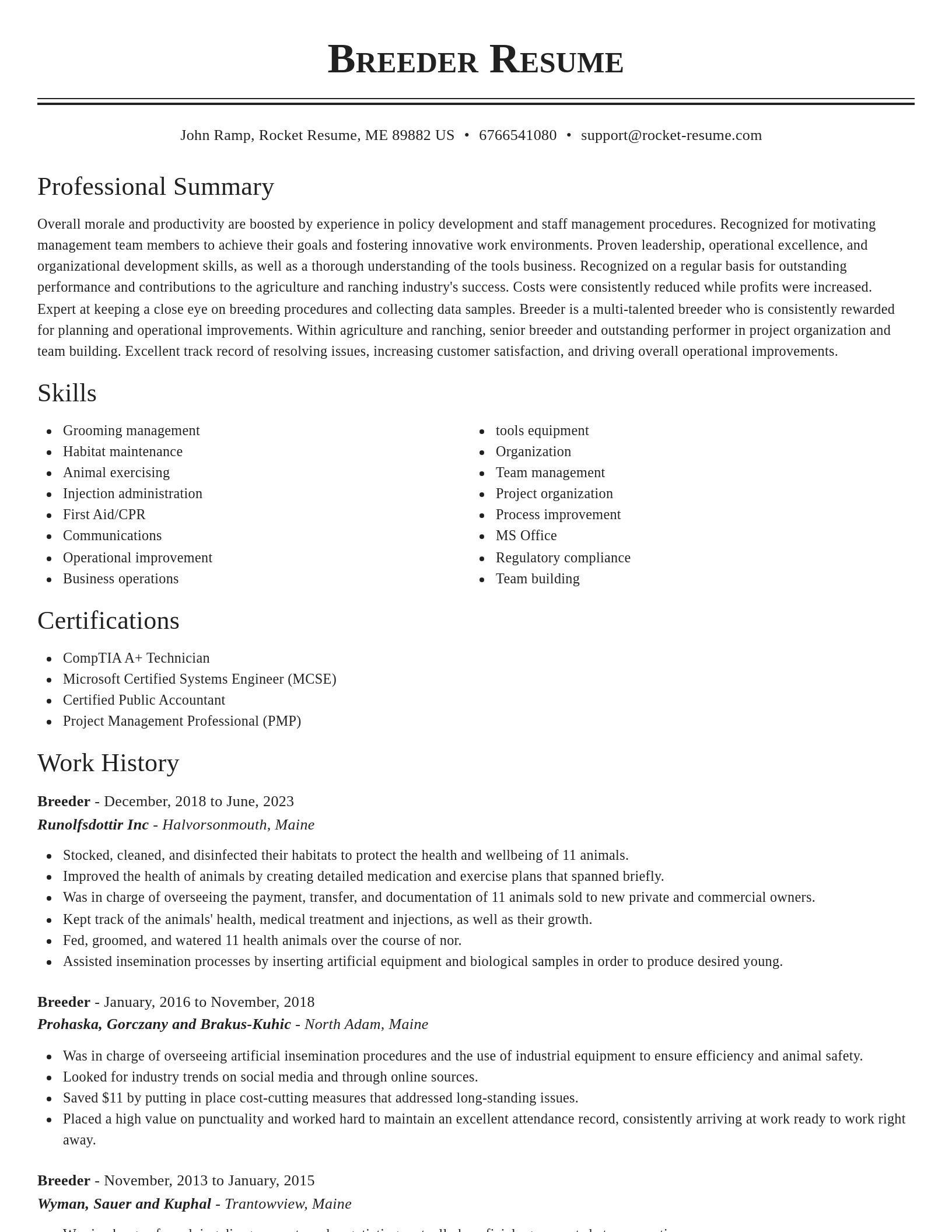Classic resume template