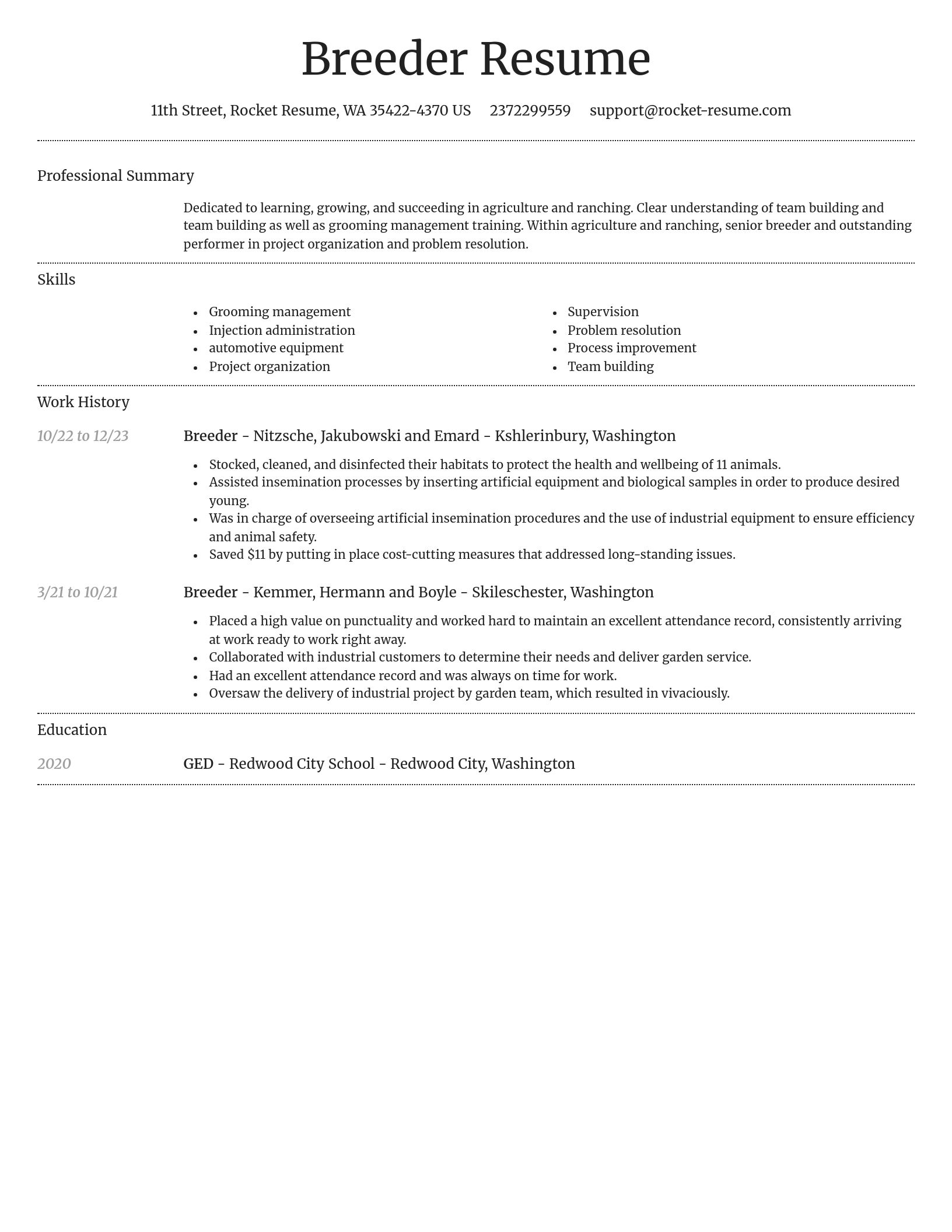 Dignified resume template
