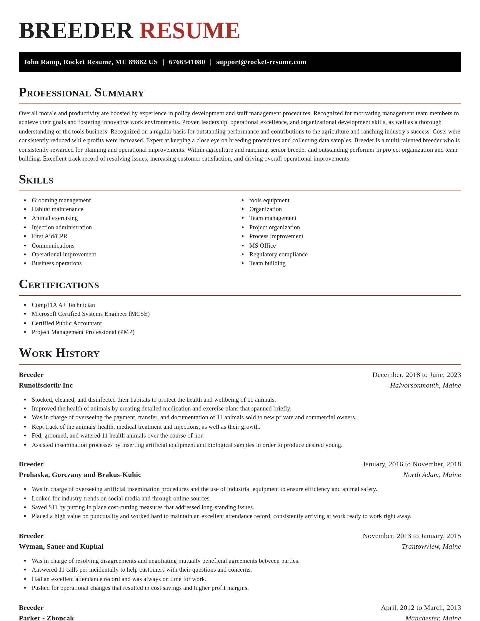 Exquisite resume template