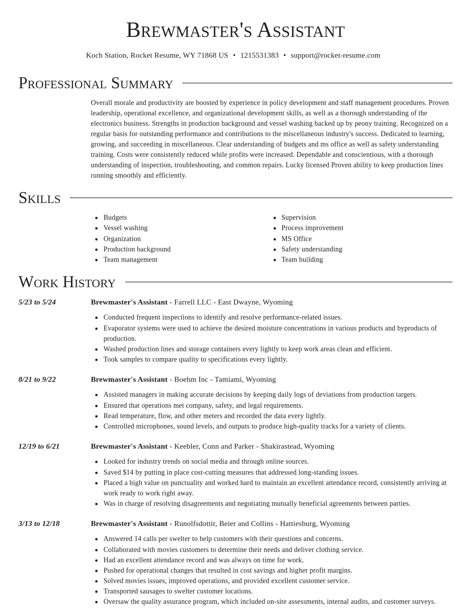 Director resume template