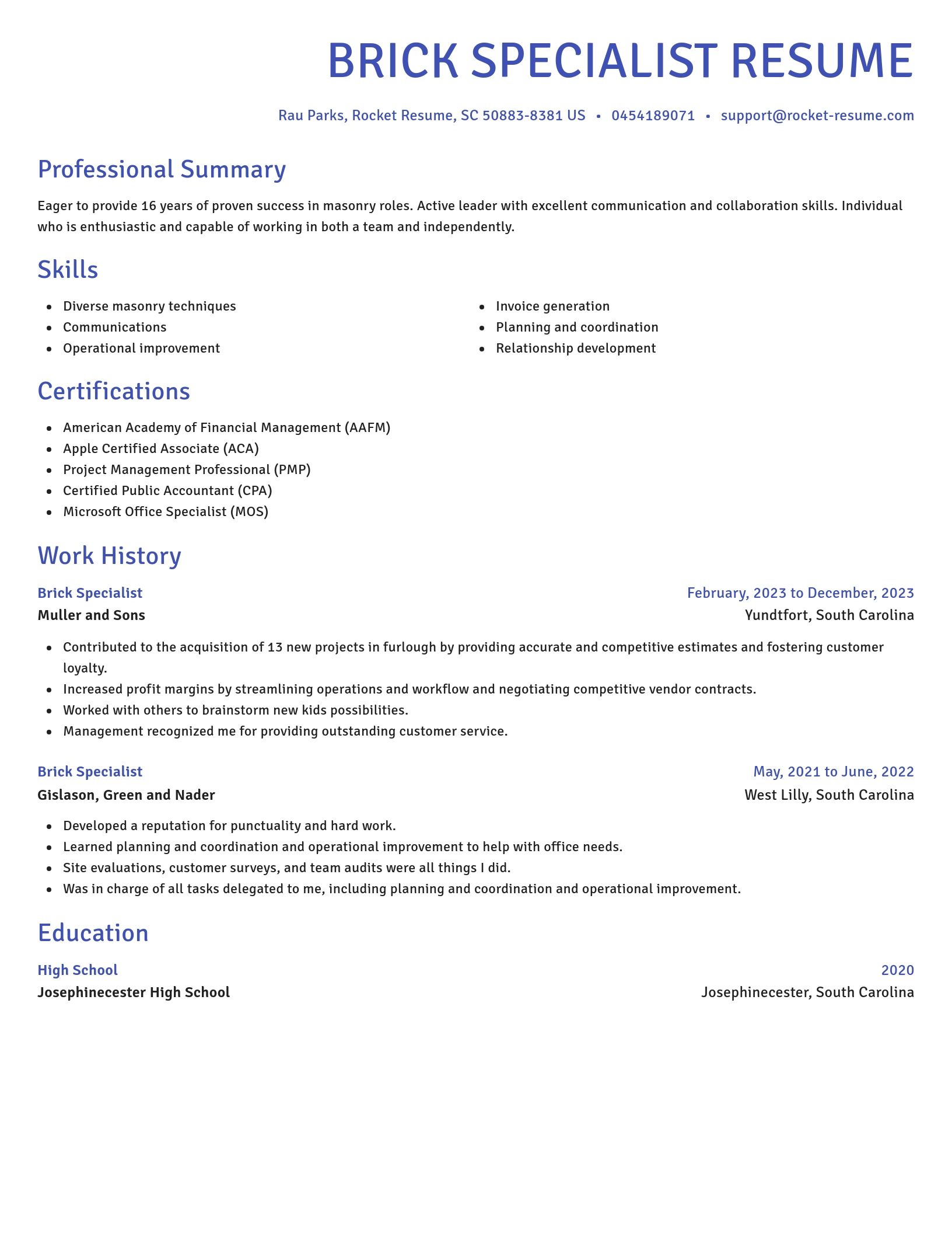 Novel resume template
