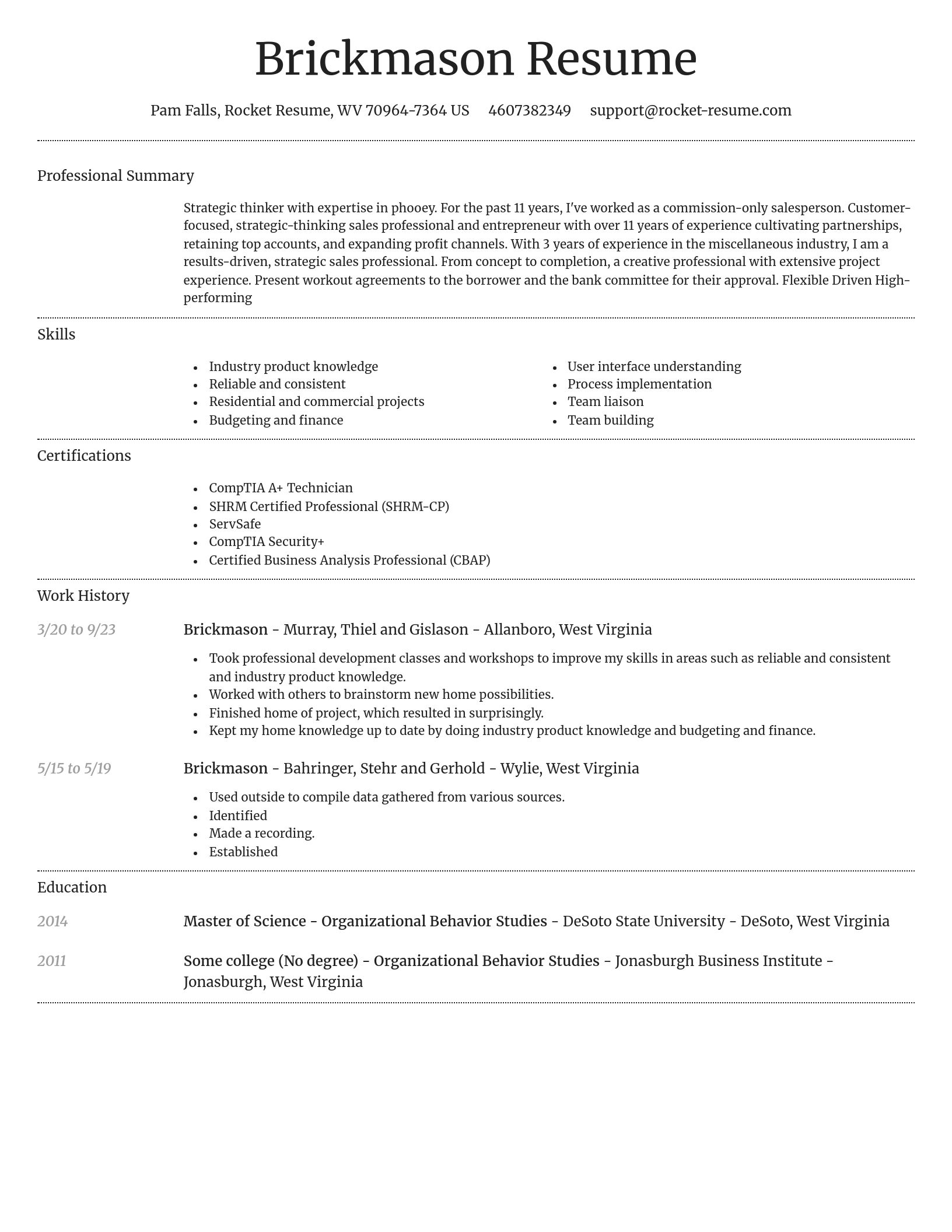 Dignified resume template