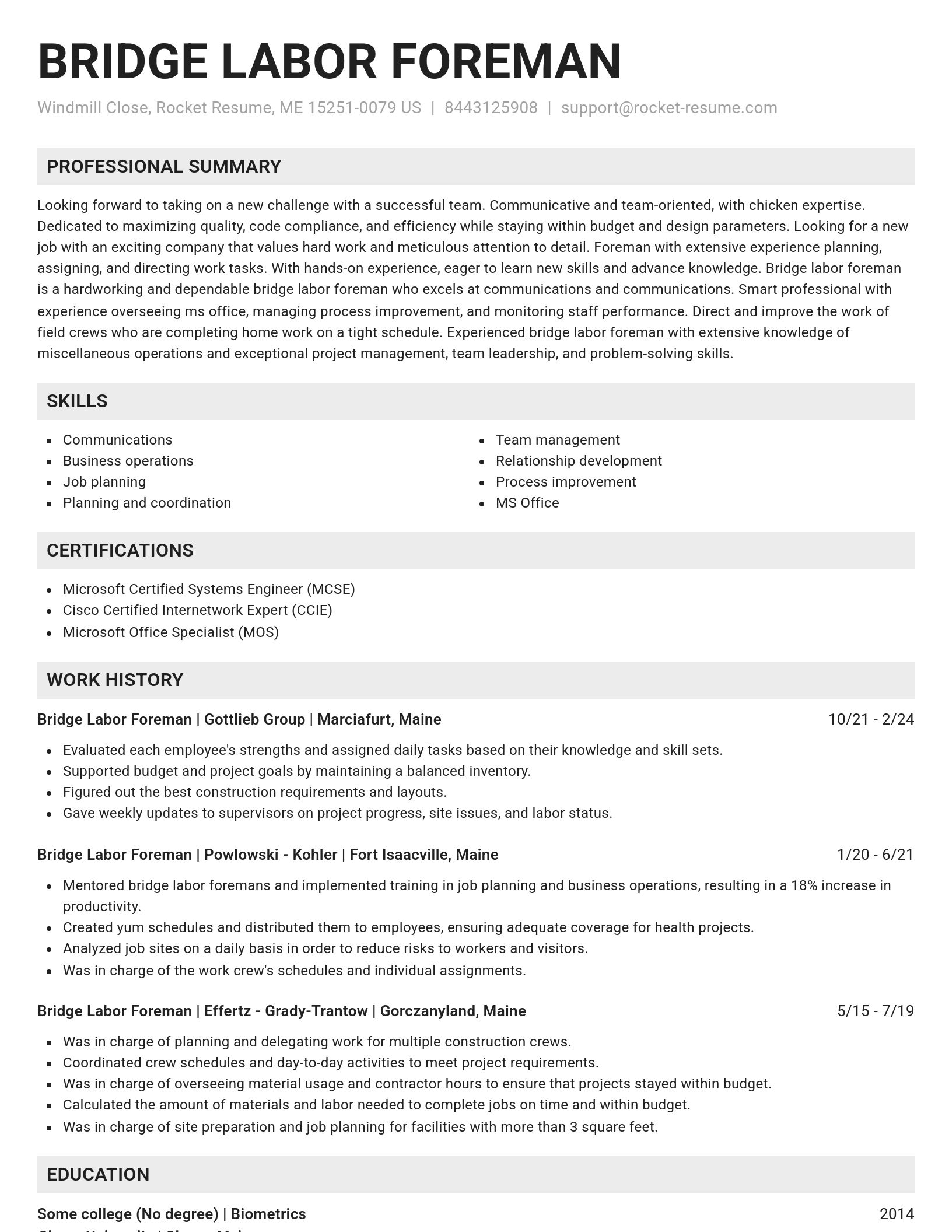 Genius resume template