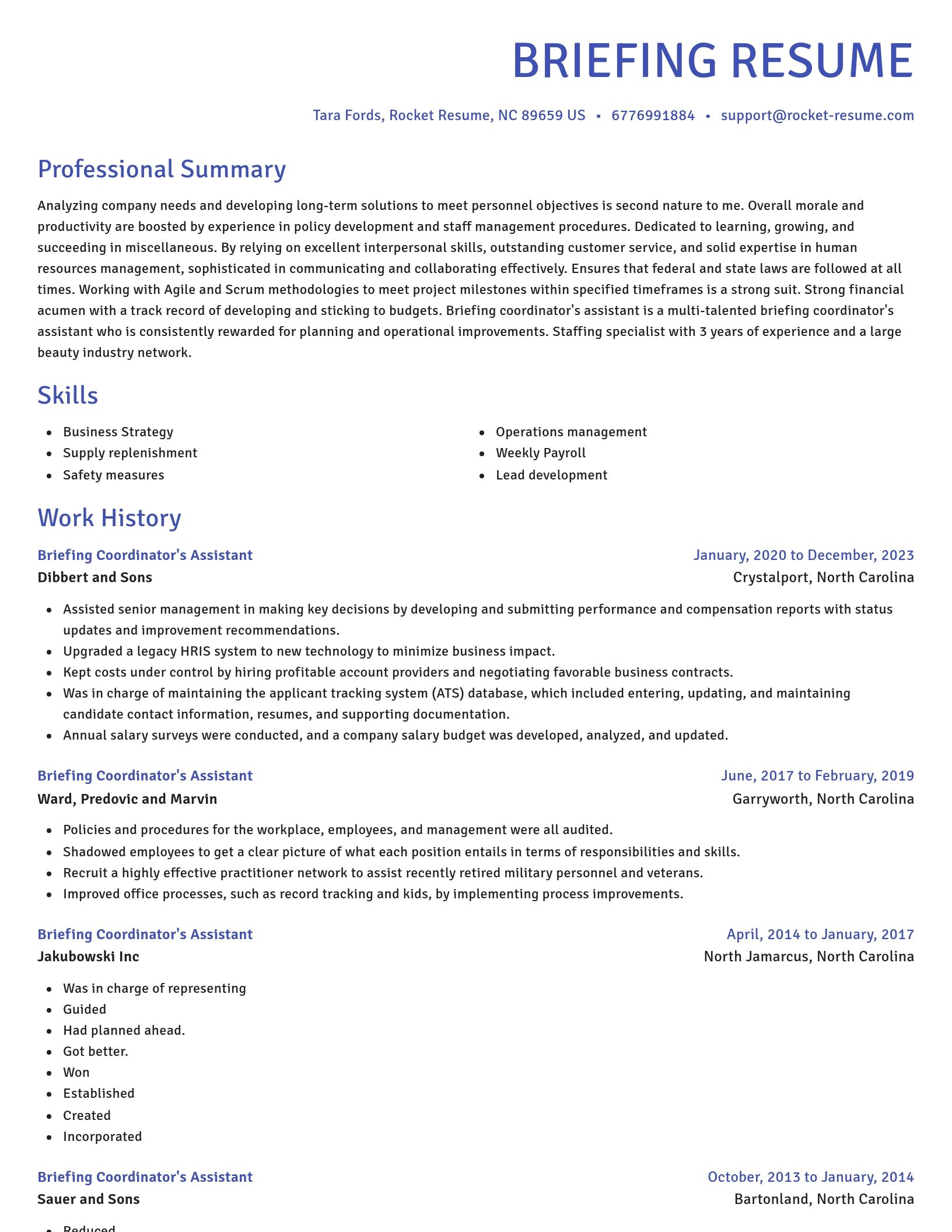 Novel resume template