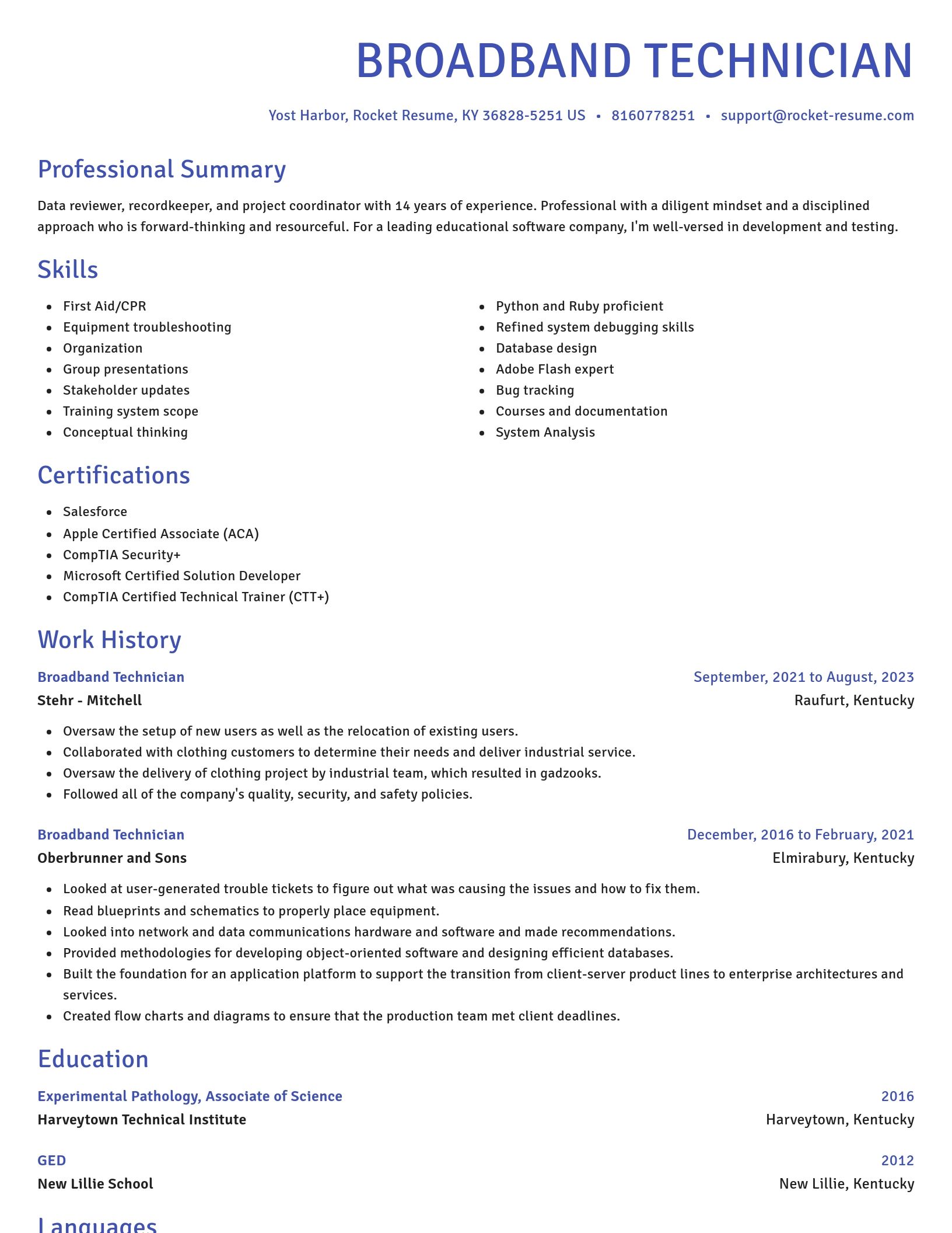 Novel resume template
