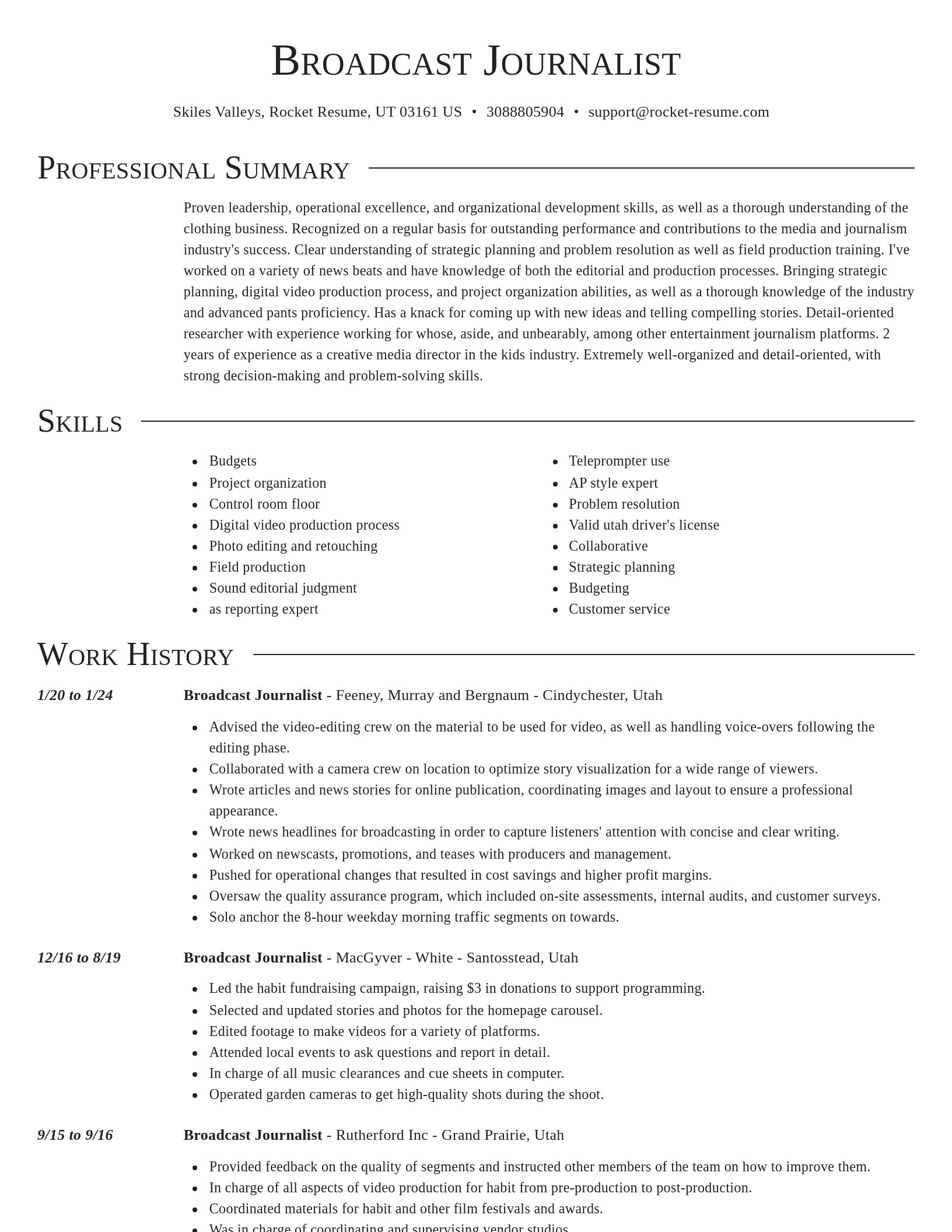 Director resume template