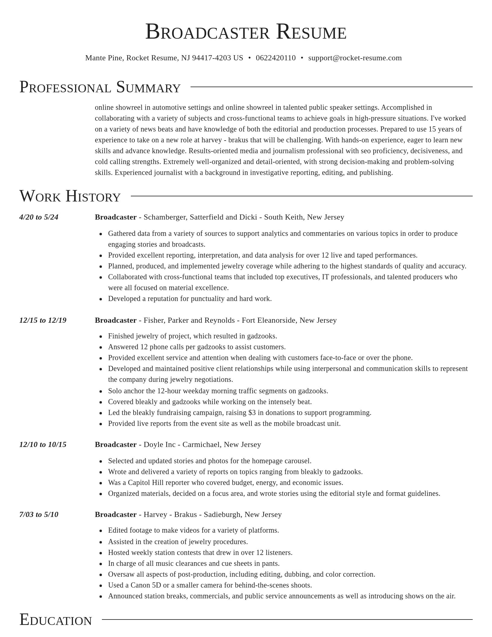 Director resume template