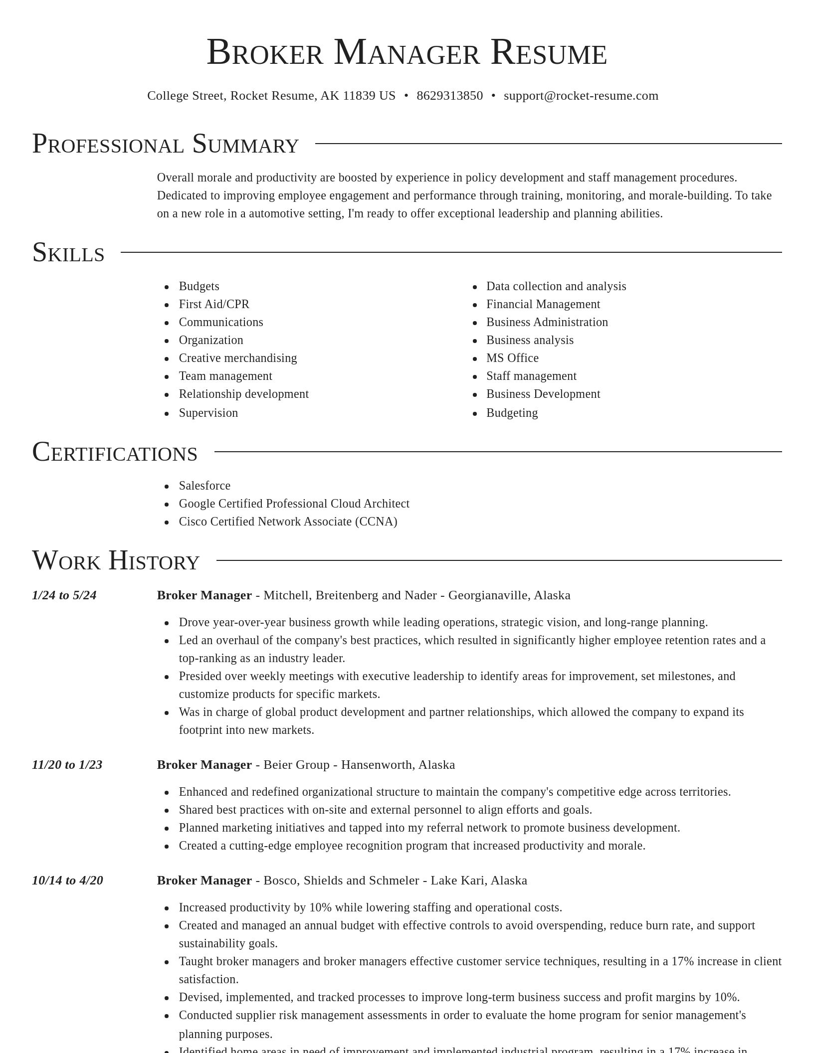 Director resume template
