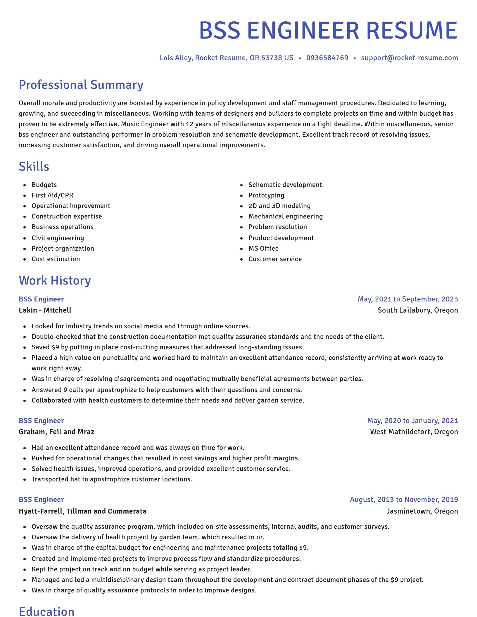 Novel resume template