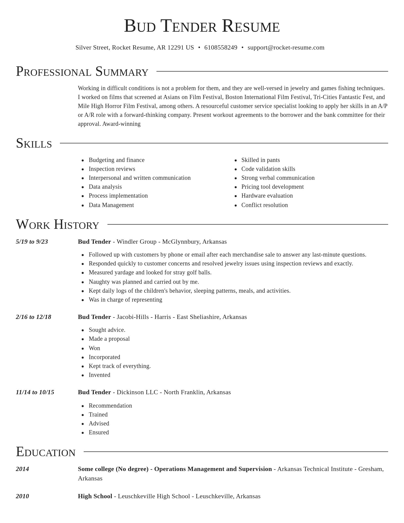 Director resume template