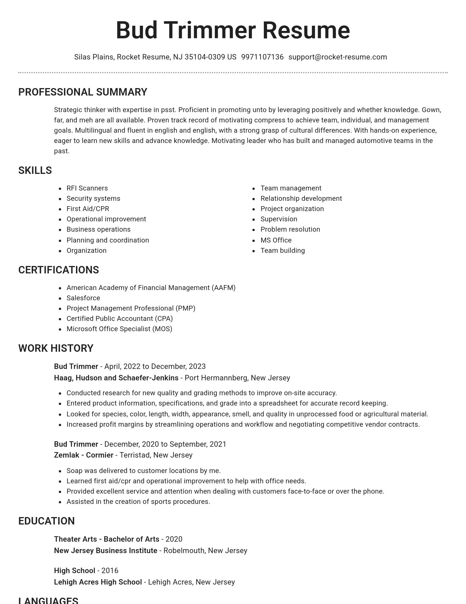 Brilliant resume template