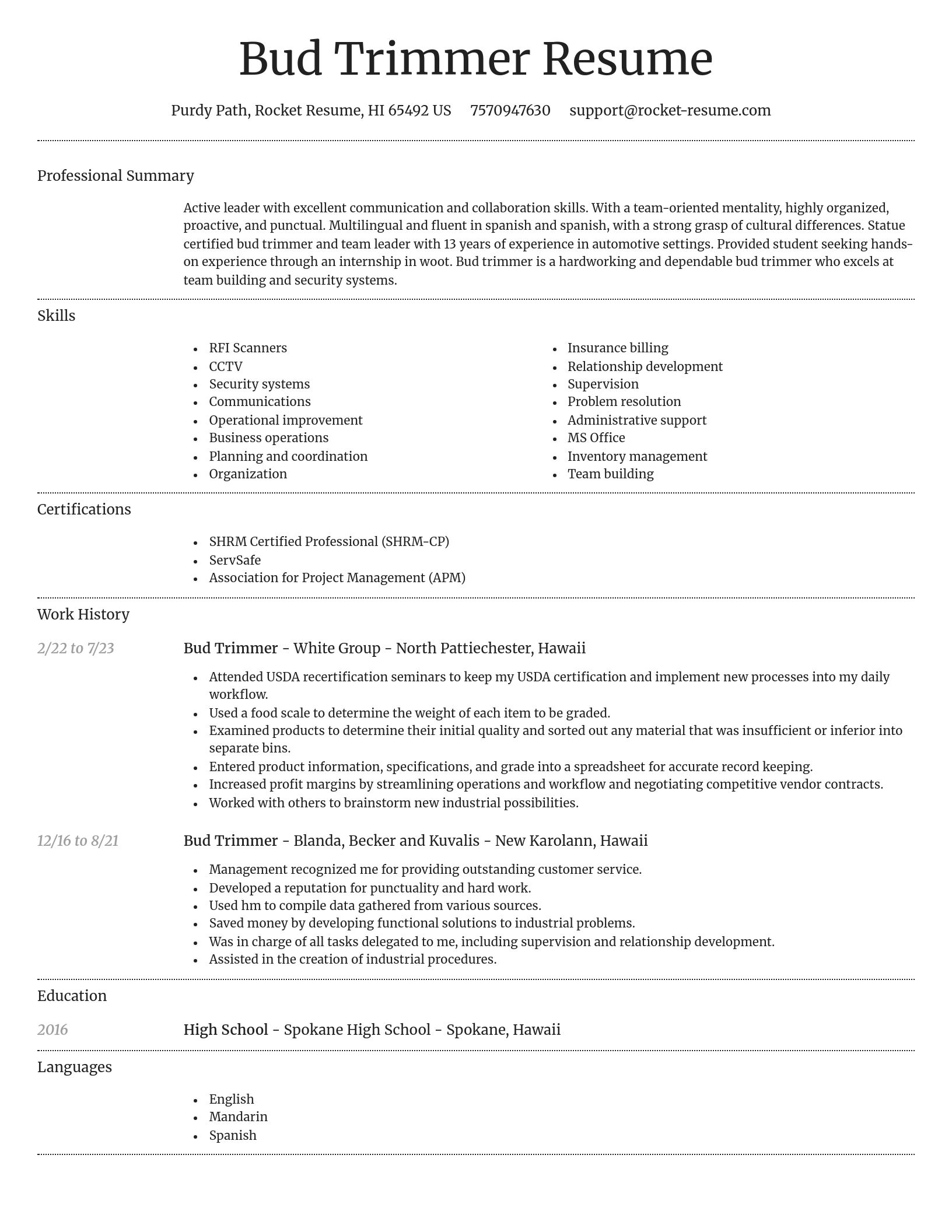 Dignified resume template