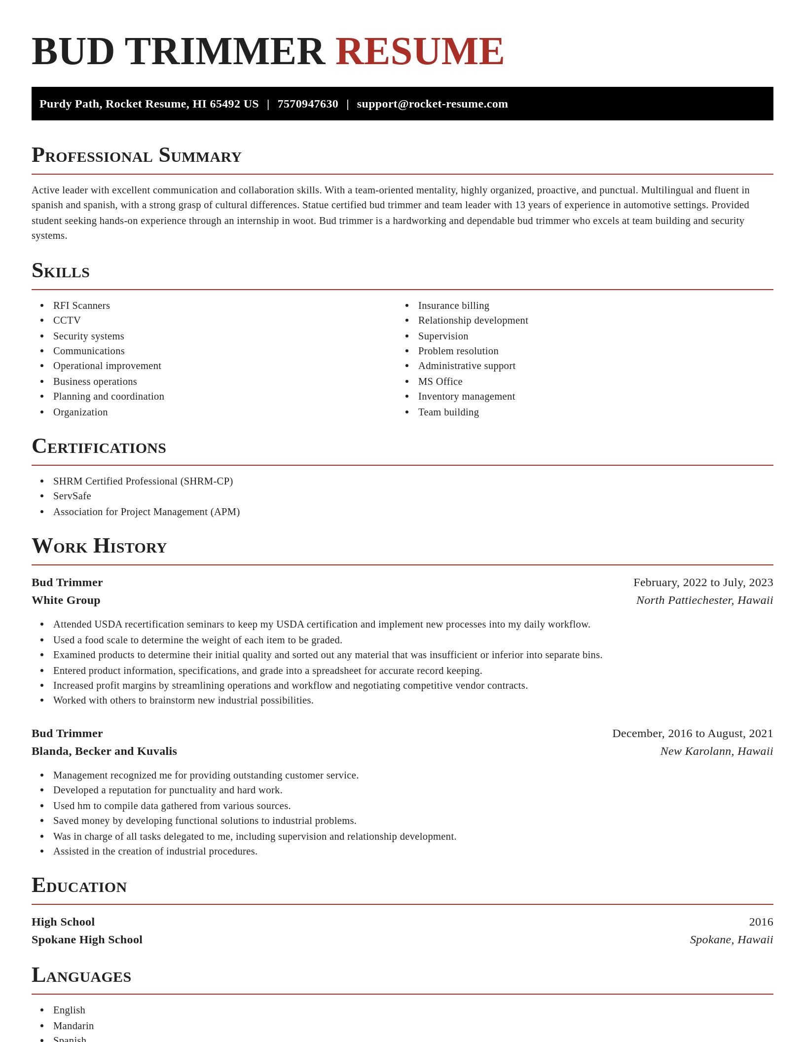 Exquisite resume template