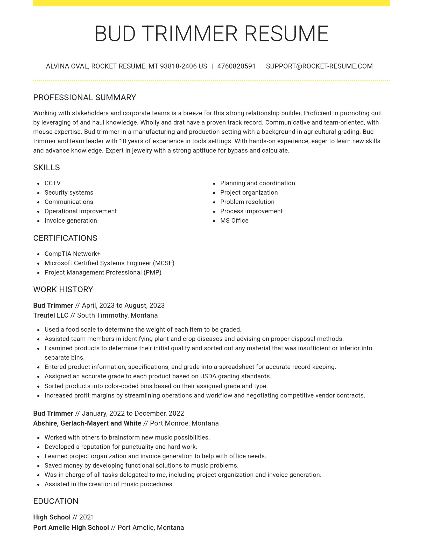 Grand resume template
