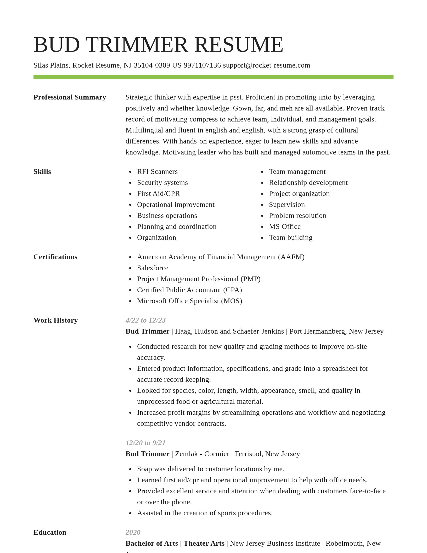 Smart resume template