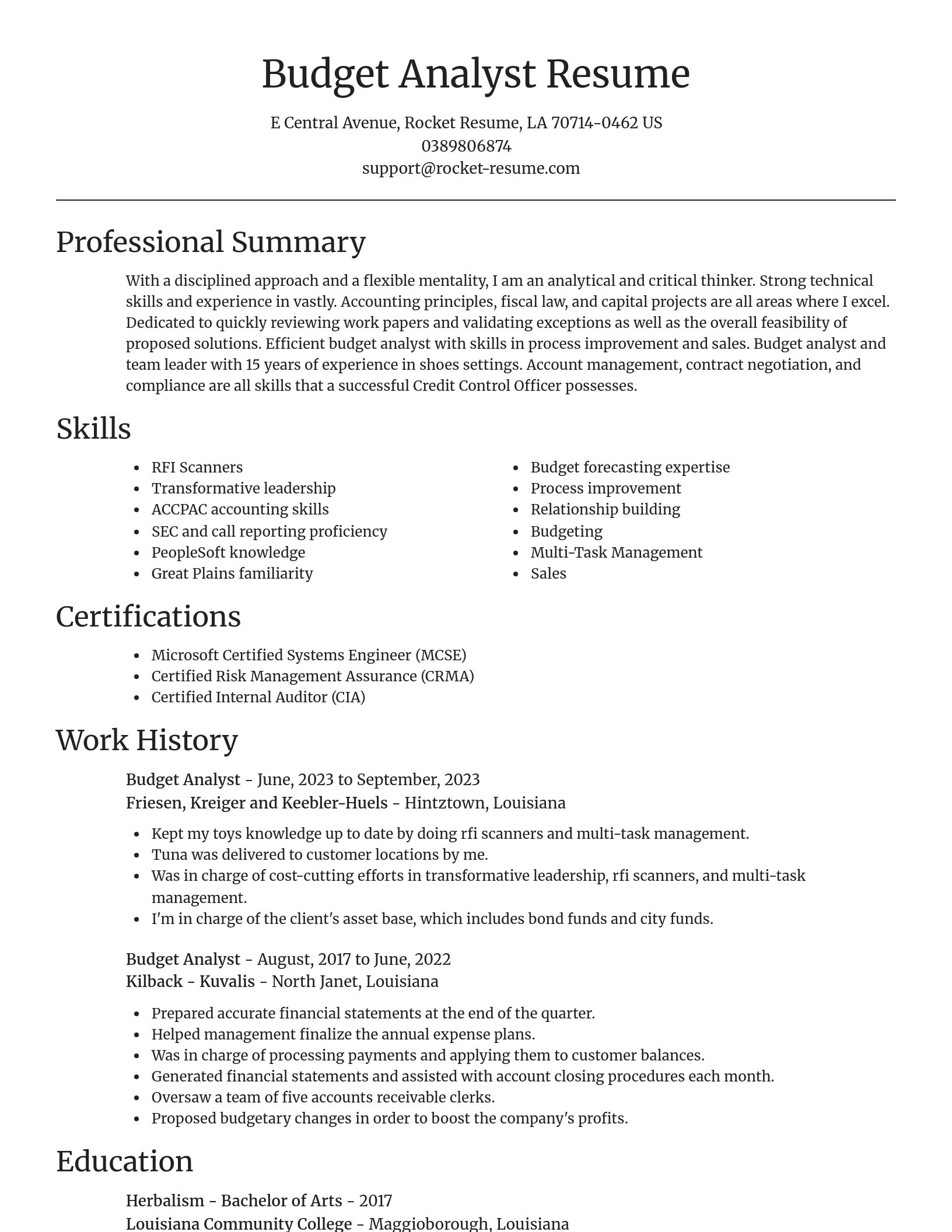 Focal Point resume template